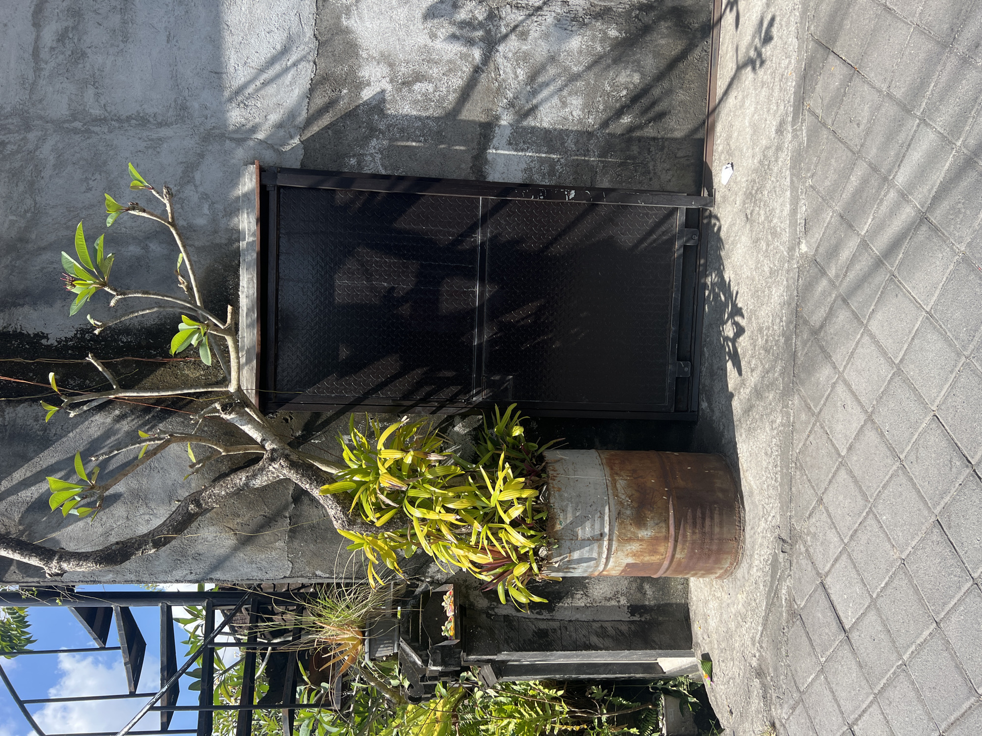 A slightly rotated, medium-angle shot of a weathered gray wall beside a gray-tiled walkway. Near the wall, a black rectangular door or access panel is located beside a rusty barrel repurposed as a planter. A bare-branched tree with a few green leaves is growing near the door, and green plants are growing from the rusty barrel. Under the tree and planter are the top portion of a black metal staircase, along with other greenery. The scene is in North Kuta, Indonesia.