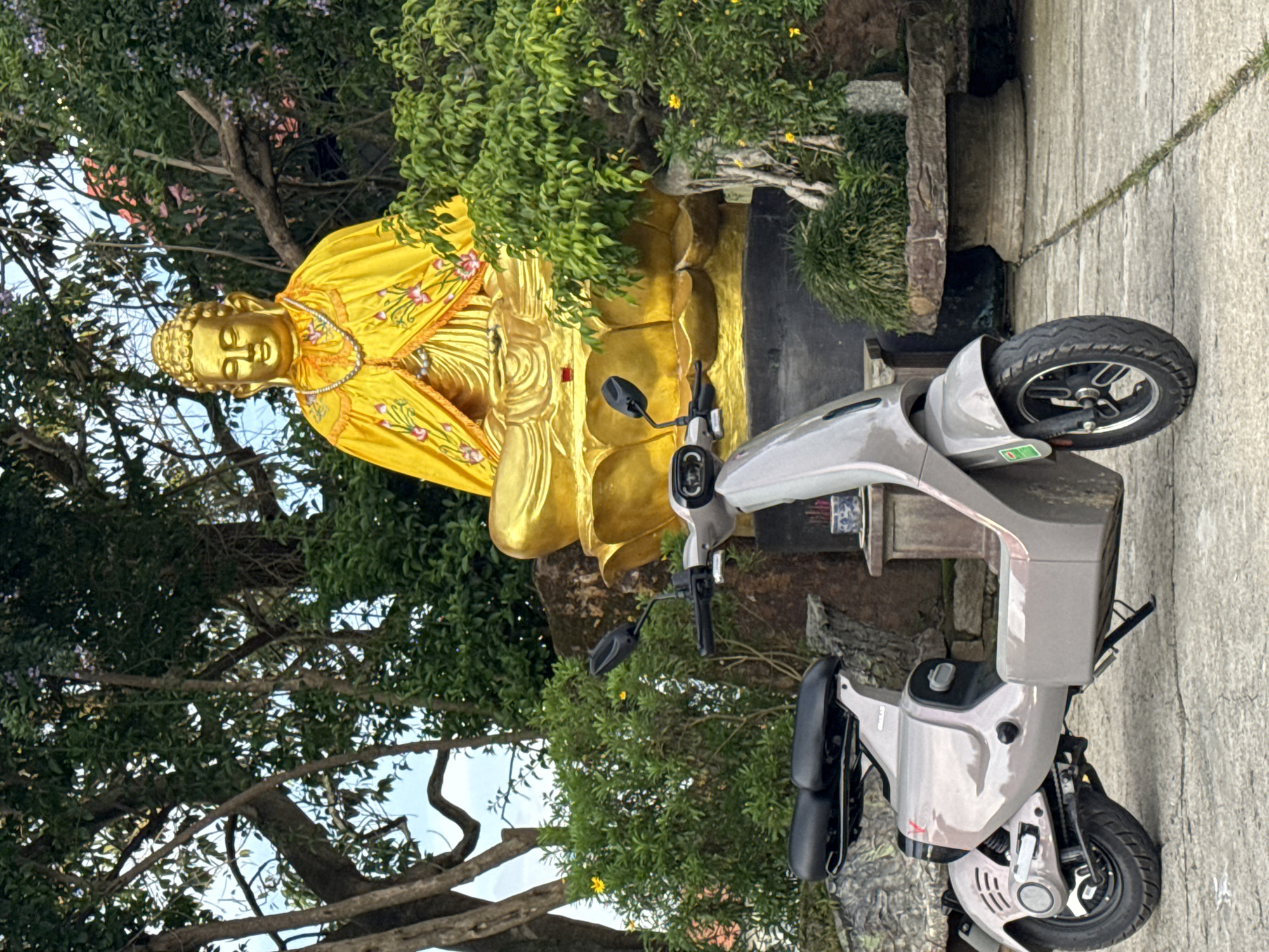 In the city of Lâm Viên - Đà Lạt, Vietnam, a neutral-toned electric scooter is parked on a paved surface in front of a large, golden Buddha statue. The Buddha is seated on a lotus pedestal, adorned with a yellow robe embroidered with pink flowers. Lush green trees and foliage surround the statue, with some branches partially obscuring the Buddha. The scooter, positioned to the left of the frame, faces slightly away from the viewer, revealing its rear wheel and part of its seat. The environment appears to be an outdoor religious or garden setting, with a natural light illuminating the scene.
