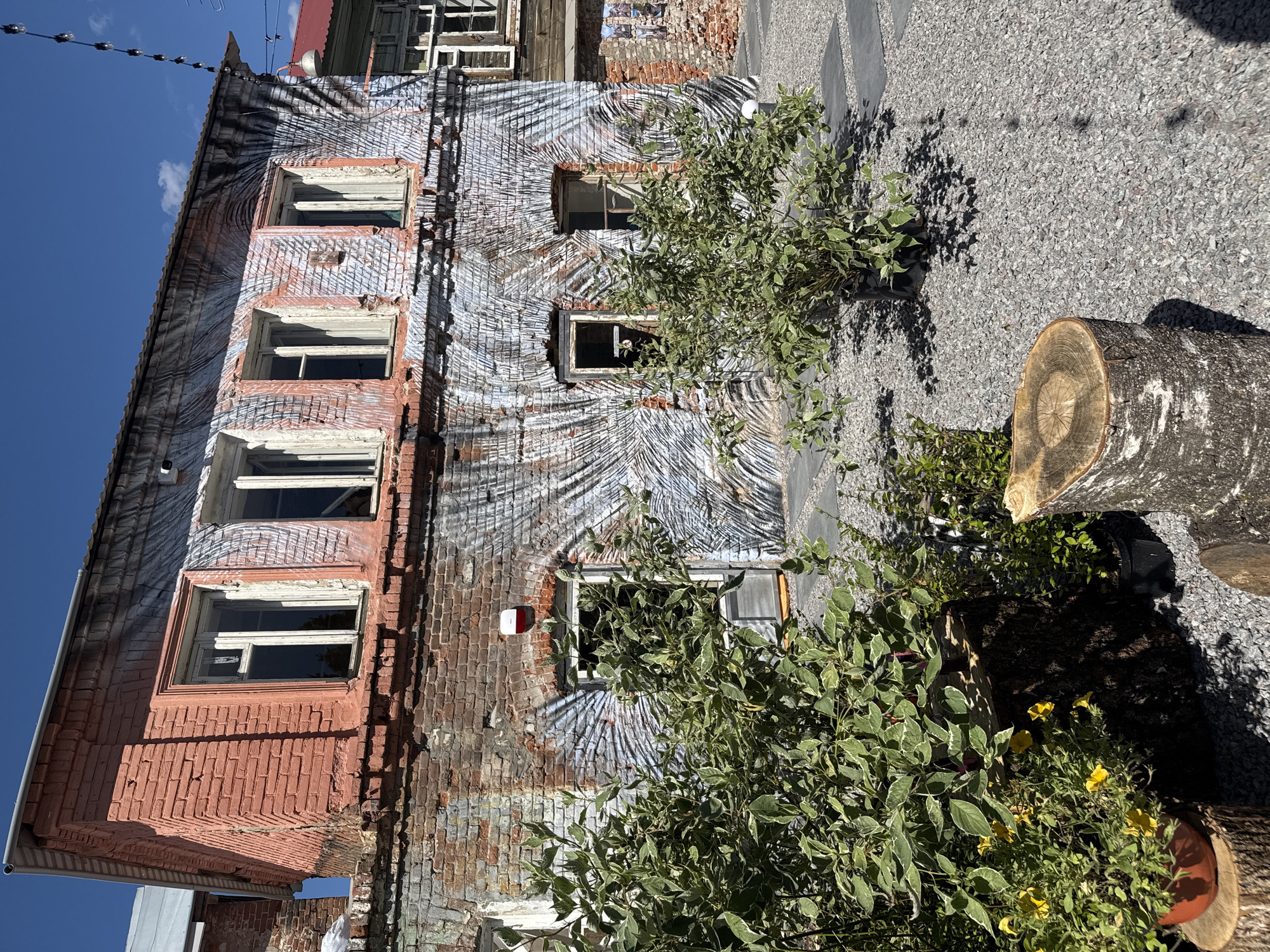 The image depicts the exterior of a weathered, two-story brick building in Yelets, Russia, with a unique mural art style covering its facade. The lower part of the building displays exposed brickwork in various shades of red and brown, showing signs of age and wear. The upper portion of the building is painted with a stylized mural featuring broad, sweeping strokes of gray and white, resembling palm fronds or a sunburst pattern, interspersed with areas of pinkish-red paint.
Several windows are visible on both stories. The upper windows are rectangular with white frames, some appearing to be boarded up or in disrepair. The lower windows also have white frames, and one of them leads to a doorway with a gray door. A red fire alarm or emergency light is mounted on the wall near the lower doorway.
In the foreground, a landscaped area is covered with gray gravel. Several large tree stumps are placed as decorative elements. Lush green plants, including a large shrub with variegated leaves and yellow flowers in a pot, are arranged around the stumps. The lighting suggests a bright, sunny day, with clear blue skies overhead. In the background, another building with a red roof is partially visible, along with overhead string lights. The overall impression is of an urban courtyard that has been creatively revitalized with art and landscaping.