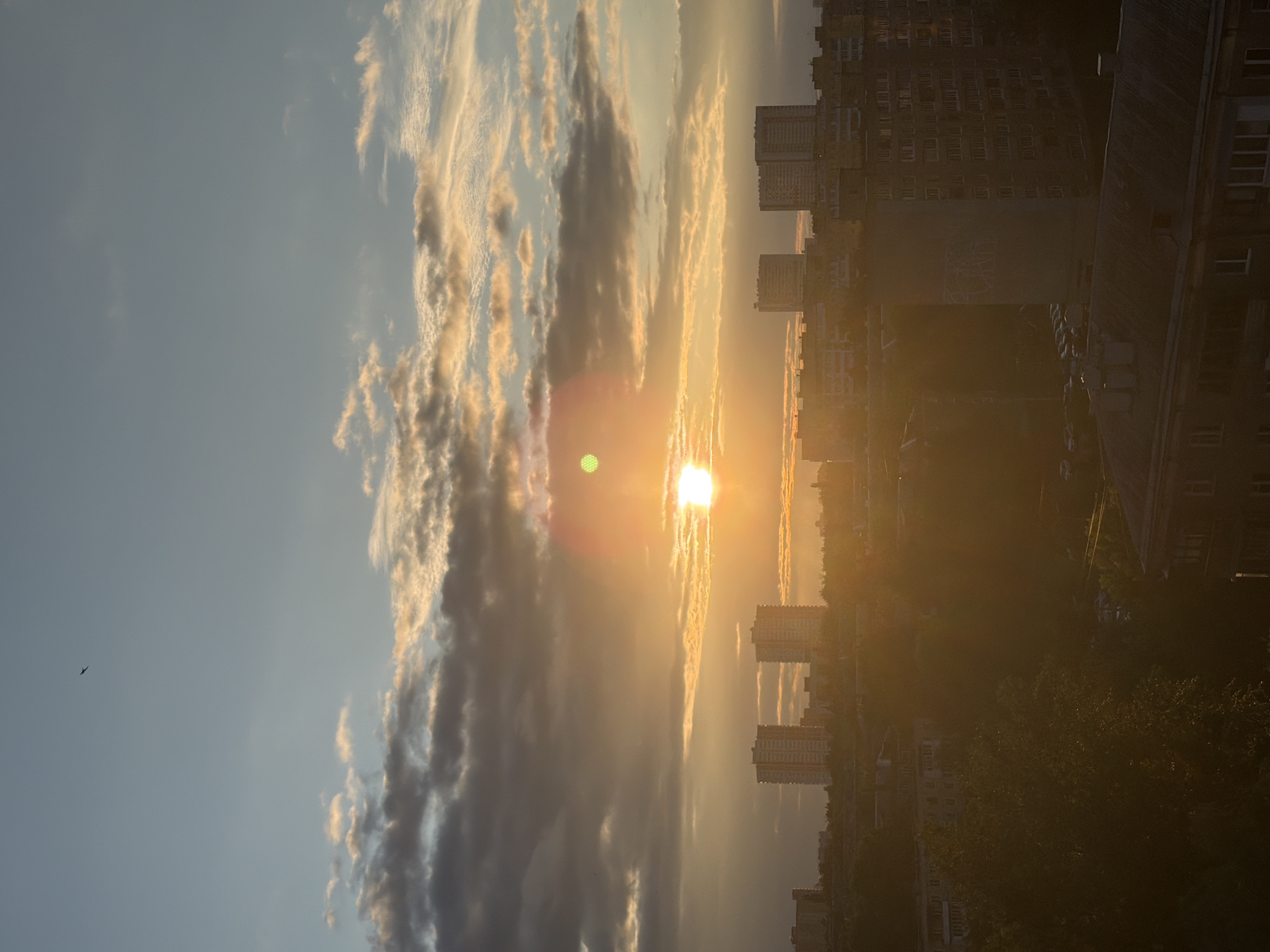 An aerial view of a city skyline at sunset reveals a bird silhouetted against the pale blue sky, soaring high above a scattering of clouds tinged with orange and yellow from the setting sun. The sun itself, a bright, luminous orb, sits low on the horizon, casting a warm glow across the urban landscape. Silhouetted against this warm light are several tall apartment buildings, their forms softened by the atmospheric haze. In the foreground, the tops of trees and various buildings of the city are visible, with one large apartment building prominently featured. The scene is one of a tranquil evening in an urban environment.