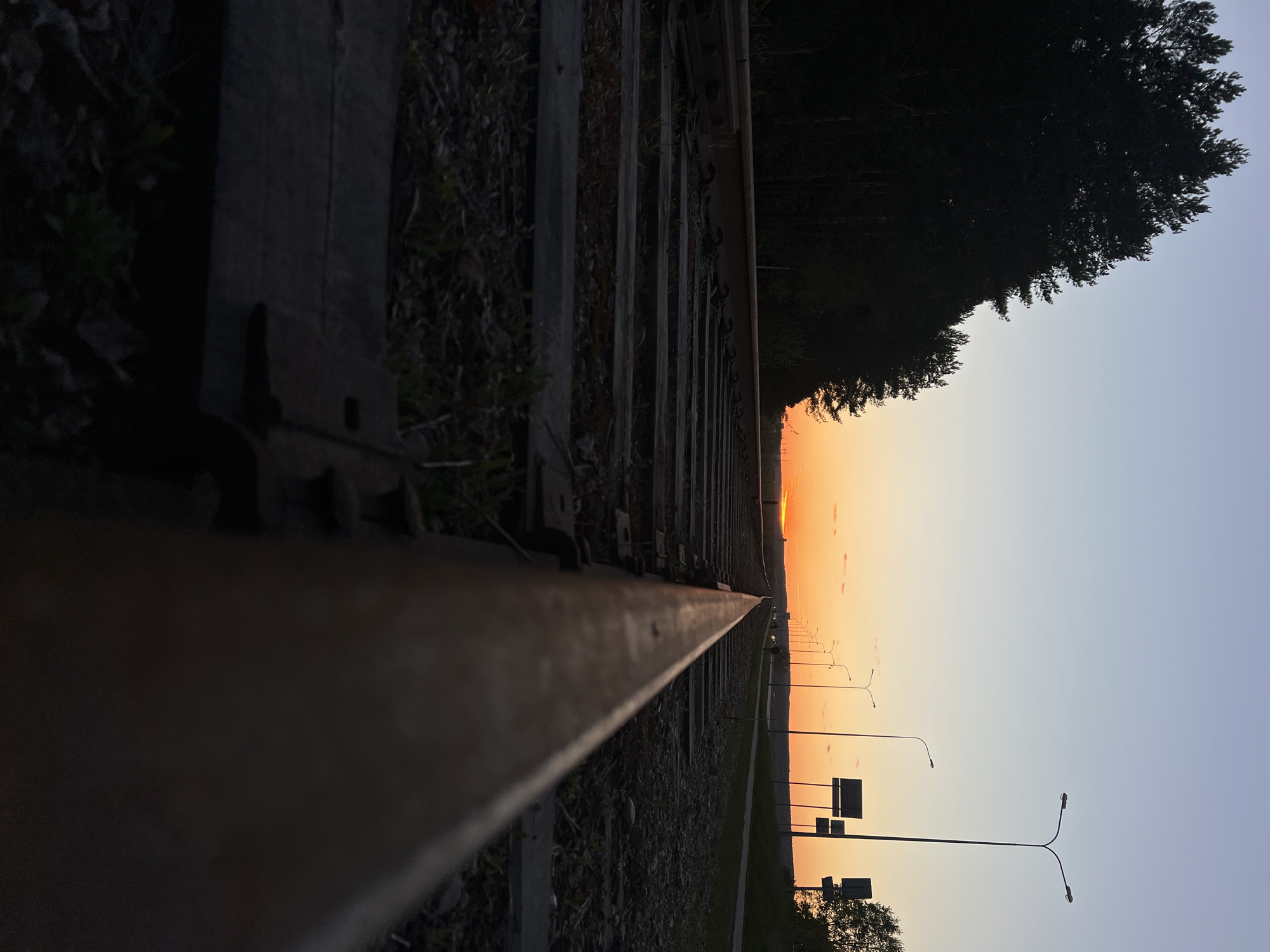 The image captures a low-angle perspective along a section of railroad tracks. The tracks stretch into the distance, converging at a point near the horizon where a vibrant sunset is occurring. The sky transitions from a light blue to shades of orange and yellow near the setting sun.
On one side of the tracks, there is a line of trees, their silhouettes dark against the sky. On the other side, a row of streetlights can be seen along a road. There are also some signs.
The image is from Chaikovsky, Russia.