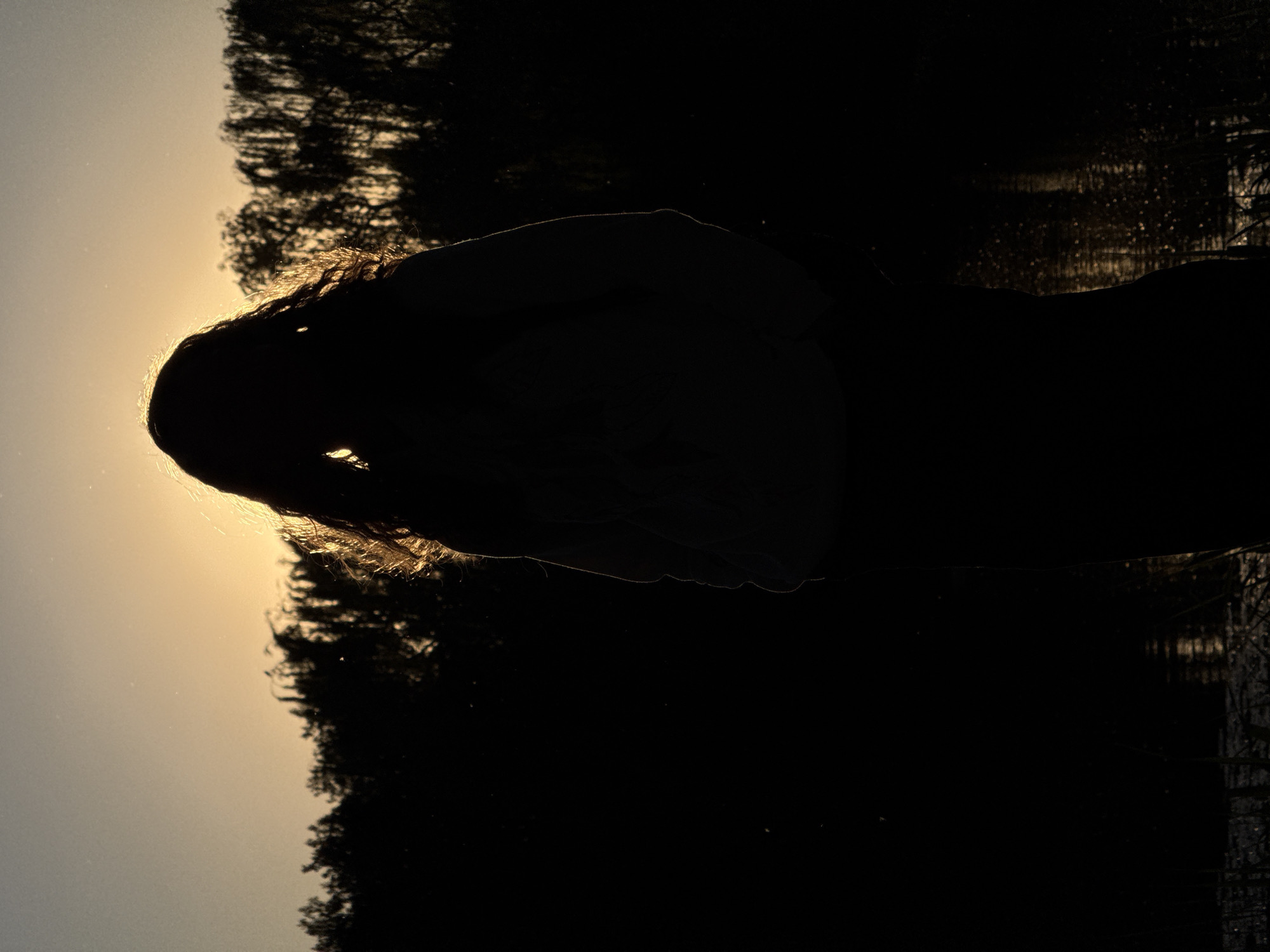 A person stands silhouetted against a sunset sky and landscape, partially obscuring trees and a body of water. There are no identifiable landmarks to confirm the location in Haidian District, China.
