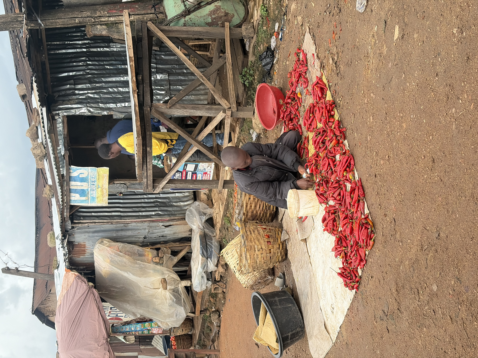 A young man, dressed in a dark jacket and pants, kneels on a rough, off-white tarp laid on the dirt ground in Bukuru, Nigeria. He is sorting through a large pile of bright red chili peppers spread before him, his hands actively engaged in the task. To his right, a large red plastic bowl sits empty, and behind him, a light-colored bucket and a black plastic tub are visible. Several woven baskets, some containing tomatoes, are scattered around the tarp, and a pair of flip-flops lies near one of them. In the background, a rustic stall with a corrugated metal roof and wooden supports stands under a cloudy sky. Two other individuals are partially visible inside the stall, one wearing a yellow shirt. The scene depicts a vibrant market setting.