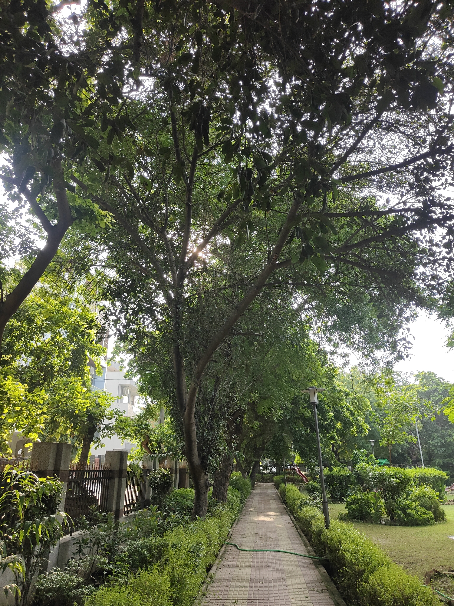 The image depicts a park pathway in Gurgaon, India, lined with lush green trees and manicured bushes. The sun shines through the dense foliage, creating a dappled light effect on the tiled path. To the left, a fence separates the park from a residential building and more trees. On the right, the pathway continues into the park, with streetlights and a grassy area. Several swings and a red slide are visible in the background, suggesting a children's play area. The scene is tranquil, with no people present.