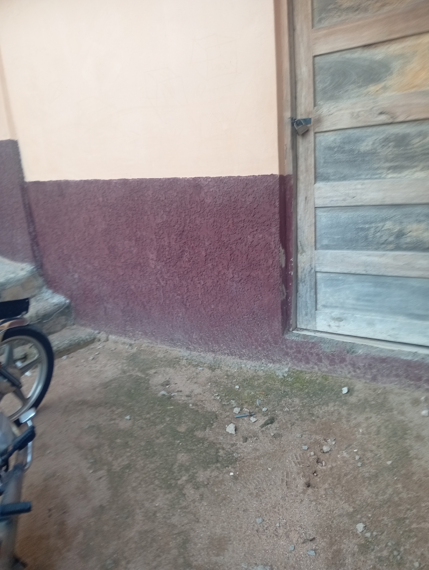 The image shows a close-up of a wall and a wooden door. The wall is painted in two tones: a light peach color on the top half and a dark reddish-brown textured finish on the bottom half. A section of a motorcycle, including a wheel and part of the frame, is visible in the lower left corner of the image. The wooden door, on the right side, is made of horizontal planks and has a padlock securing it. The ground in front of the wall and door is made of dirt and small stones, with some patches of green moss or grass. The lighting suggests it is daytime, and there are no immediate clues about the weather or the specific emotions conveyed. The scene appears to be outdoors, possibly in a residential or commercial area, given the presence of a door and a motorcycle. No text is visible in the image.