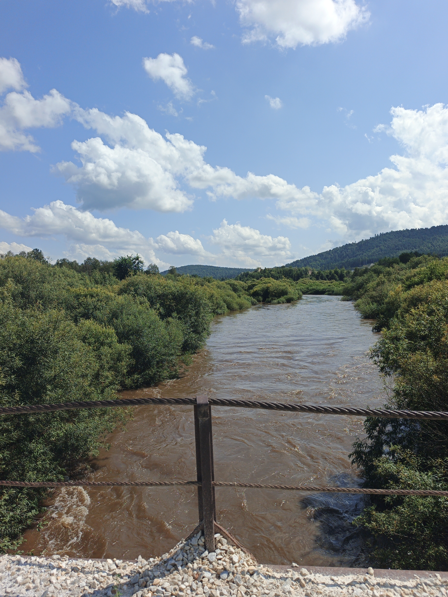 This is a landscape photograph taken from a bridge overlooking a wide, muddy river. The river occupies the central and lower portion of the frame, with its murky brown water showing ripples and some turbulence. The riverbanks are densely covered with lush green foliage, consisting of trees and bushes that extend into the distance. In the background, rolling hills covered in vegetation rise up, with a clear blue sky above dotted with white, fluffy clouds. In the foreground, the edge of the bridge is visible, with gravel and metal railings. The photograph is taken on a sunny day, as indicated by the bright light and the clear sky. The scene depicts a natural environment, likely a rural or semi-rural area, given the abundance of vegetation and the absence of any urban structures. It is not possible to determine the exact location within Medvedyovka, Russia without additional information.