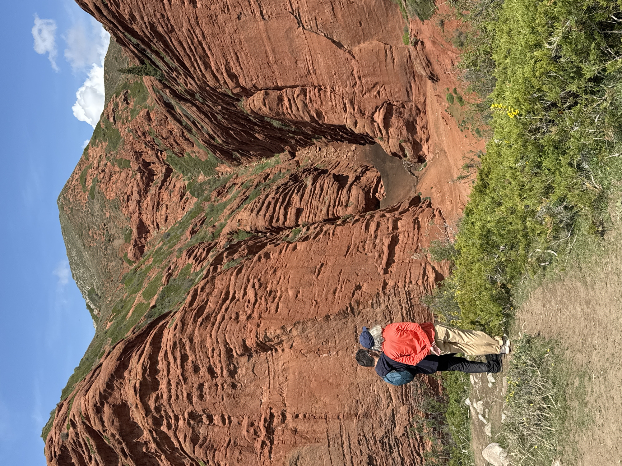 The image captures a vibrant natural landscape, specifically in the Jeti-Ögüz region of Kyrgyzstan, characterized by its striking red rock formations. Two individuals are the main subjects, viewed from behind, standing on a dirt path at the edge of a vantage point. They appear to be observing the vast canyon and towering cliffs before them.
One person, wearing a bright orange hooded jacket, tan trousers, and white shoes, has visible grey hair and carries a blue backpack. The other person is dressed in a dark blue or black jacket and dark trousers, also with a backpack, possibly blue or teal in color.
The scene is dominated by massive red sandstone cliffs that rise steeply, showcasing pronounced horizontal stratification and intricate erosion patterns that have carved out deep grooves and ledges. Green vegetation, including shrubs, bushes, and grasses, clings to the slopes and grows along the pathway, with small clusters of yellow wildflowers visible in the foreground. Below the cliffs, a lighter dirt path or canyon floor can be seen winding through the red rock.
The sky is a clear, brilliant blue with scattered, fluffy white clouds, suggesting a sunny and pleasant day, likely late morning or early afternoon, ideal for hiking and sightseeing. There is no visible text in the image. The overall impression is one of awe-inspiring natural beauty and exploration.