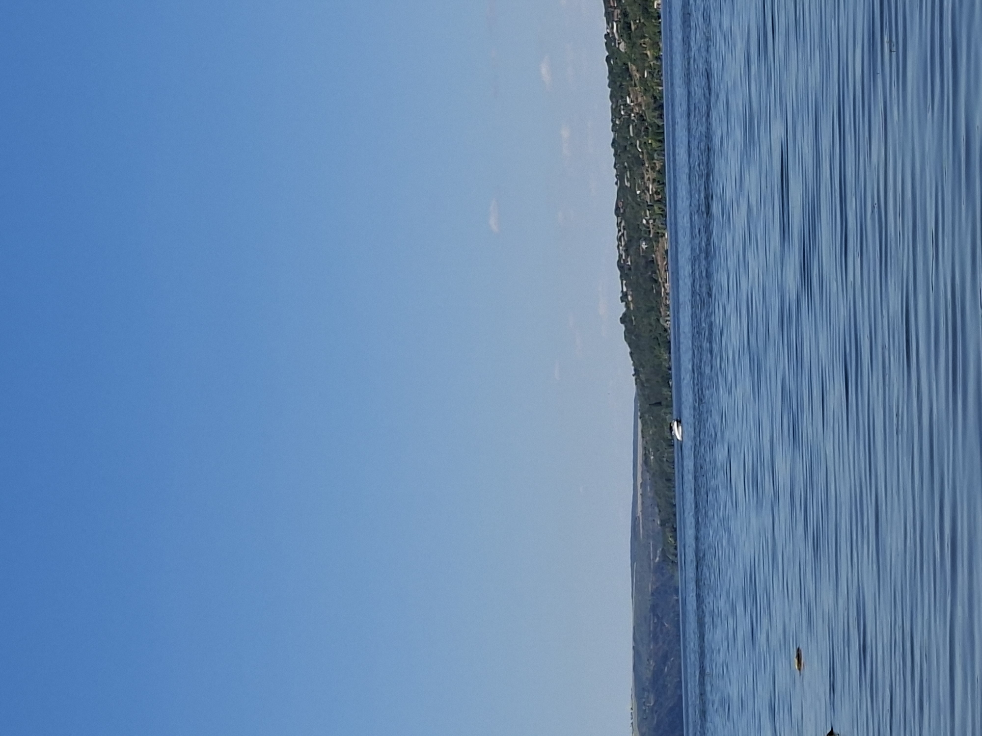 A wide shot captures a calm, blue body of water under a clear, bright blue sky. In the distance, a green, tree-covered hillside rises, dotted with houses. A white boat is visible on the water, and on the left side of the frame, a small, brown object floats on the surface of the water. The scene is likely the Dniester River in the city of Ustia, Moldova, given the geographical context.