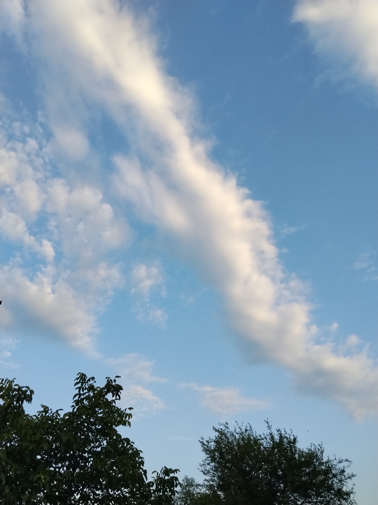 The image depicts a clear blue sky with scattered white clouds. A large, elongated cloud stretches diagonally across the upper portion of the frame. In the lower section, the dark green foliage of trees is visible against the sky, suggesting an outdoor scene. There are no people or specific objects identifiable in the image, apart from the natural elements of sky and trees. The location is Ustyvytsia, Ukraine, though the image does not provide any specific landmarks to pinpoint a precise location within the city. The overall impression is a serene, natural landscape.
