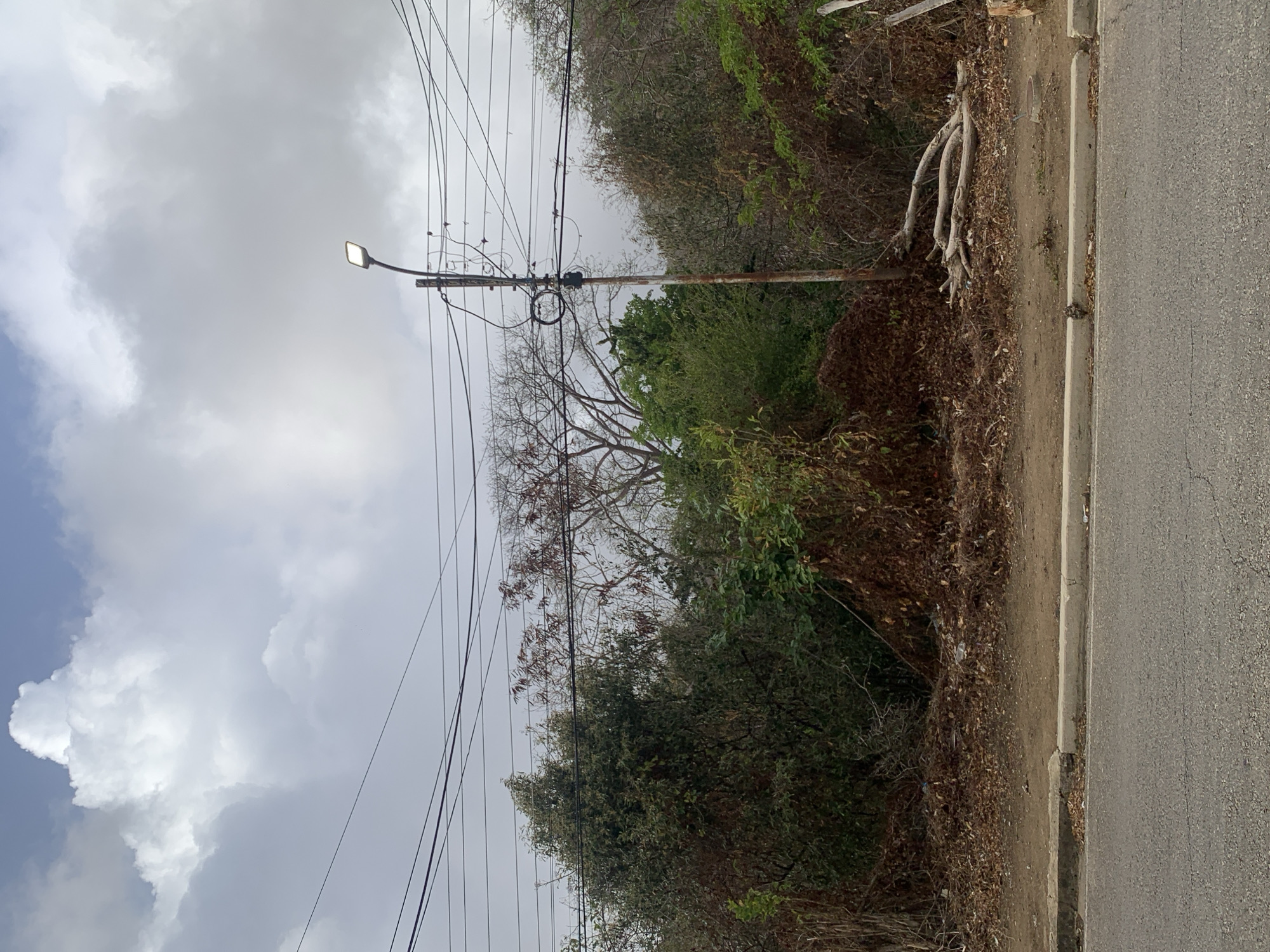 The media file captures a static, vertical-format landscape scene, likely taken during an overcast day, in what appears to be a suburban or semi-rural roadside environment.
The sky, dominating the upper half of the image, is heavily clouded with thick, grey formations. Patches of brighter blue sky are visible towards the left edge, indicating a partially cloudy condition rather than complete overcast.
A prominent utility pole, likely made of wood, stands slightly left of the center. It supports numerous overhead electrical or communication wires that stretch across the sky. Attached to this pole is a modern, rectangular LED streetlight, which is actively illuminated despite the daylight.
To the right of the road, dense vegetation forms a natural barrier. This includes tall trees with both bare, leafless branches and lush green foliage, suggesting a mix of deciduous and evergreen species or varying health. The undergrowth is thick with bushes and dried leaves, particularly closer to the ground. Visible tree roots snake along the ground near the roadside.
A paved asphalt road runs along the bottom edge of the image, bordered by a concrete curb. The area between the curb and the dense vegetation is unpaved dirt, scattered with dry leaves and debris.
There is no visible human activity, people, or discernible text within the image. The illuminated streetlight under an overcast sky suggests either very dim daylight conditions or an early morning/late afternoon shot. The overall setting implies an area with basic infrastructure (road, utilities) bordering untamed natural growth, consistent with the provided location context of Santa Ana, Venezuela.