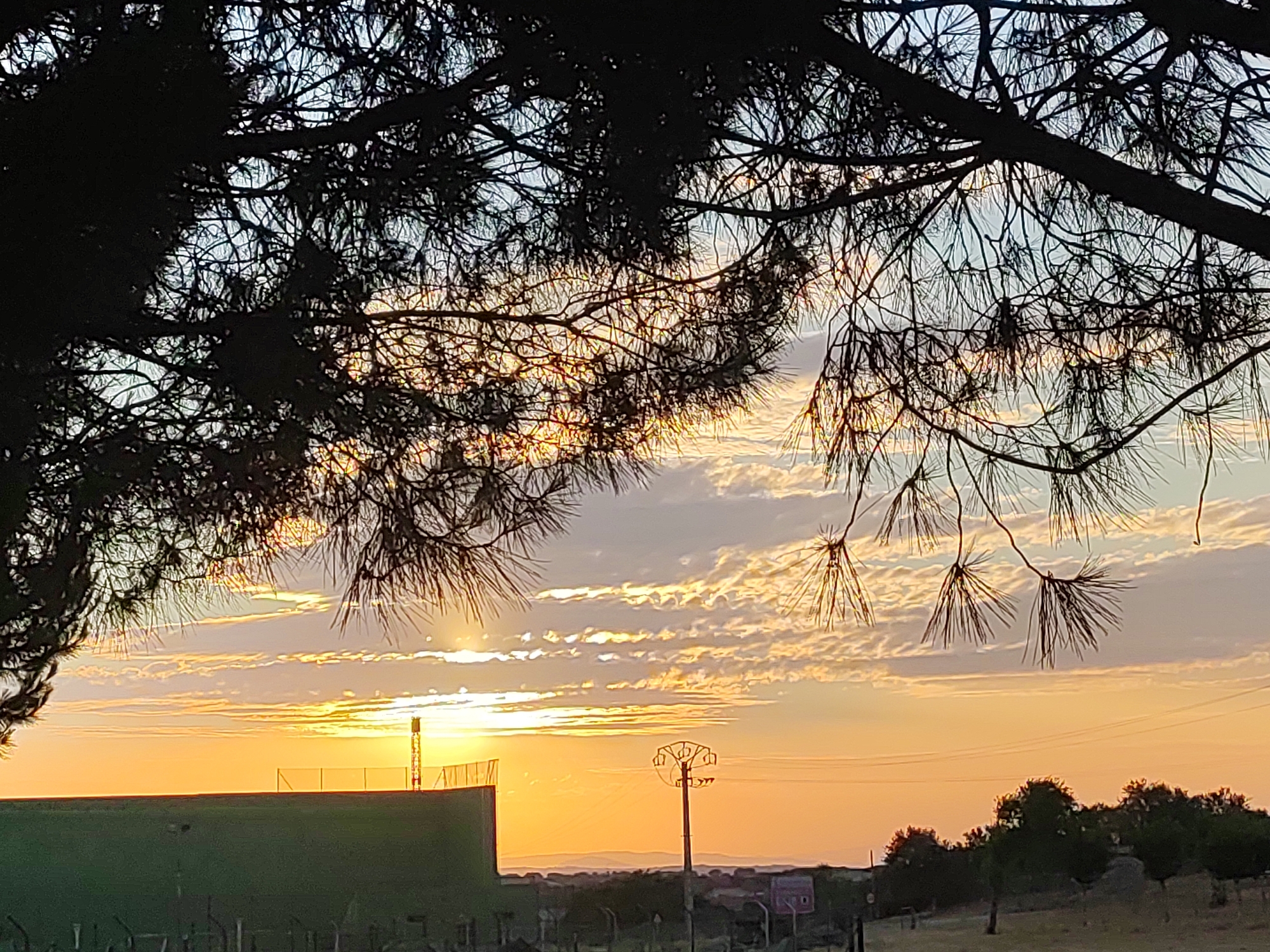 The image depicts a sunset over a rural landscape in Sobradillo, Spain. The foreground is dominated by the silhouette of pine tree branches and needles, obscuring portions of the sky. The sky is filled with a gradient of warm colors, transitioning from a bright yellow near the horizon to a pale blue at the top, with scattered white and orange clouds.
In the middle ground, a green, rectangular structure with a fence surrounding it is visible on the left. To the right of this structure, a tall, thin tower with a lattice-like top stands. Further to the right, a utility pole with intricate wiring is present. Beyond these, a line of trees forms a dark horizon, and in the far distance, faint outlines of hills are discernible. The overall impression is that of a tranquil, natural setting bathed in the golden light of the setting sun.