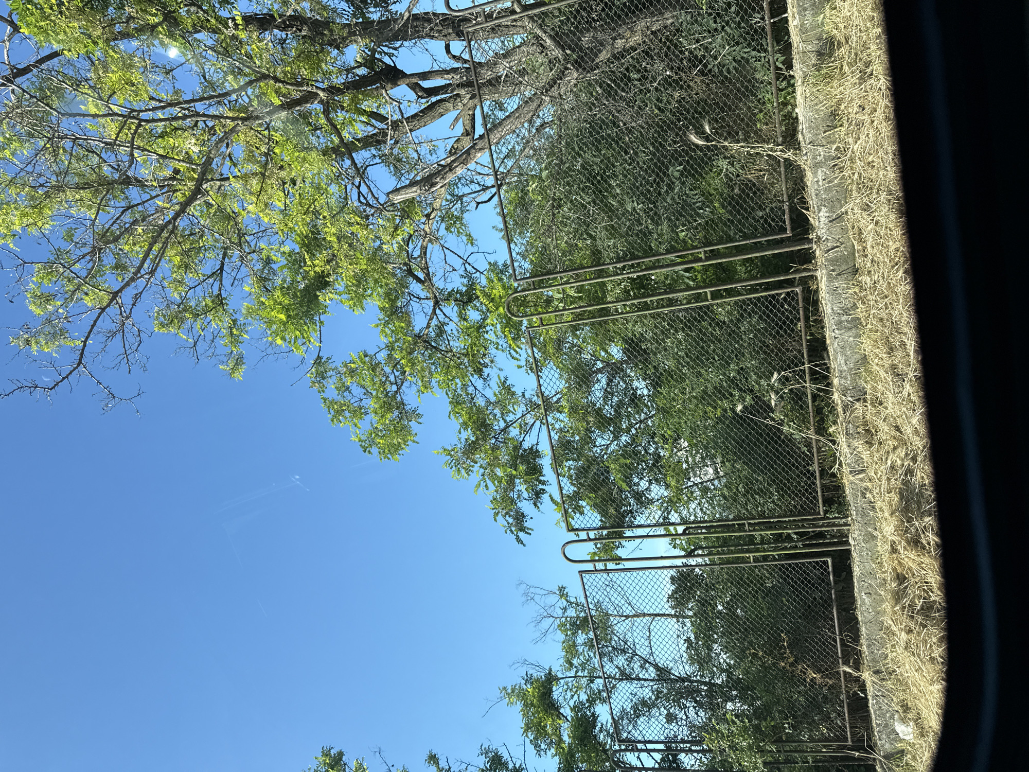 The image depicts a chain-link fence with metal posts, set against a backdrop of lush green trees and a clear blue sky. The fence runs horizontally across the frame, with some of the metal posts curved at the top. Dry, light-colored grass and some vegetation are visible in front of the fence, on what appears to be a concrete embankment. The scene suggests an outdoor location, possibly a park or the edge of a property, under daylight conditions. There are no people or animals visible in the image. The overall impression is of a typical urban or suburban landscape. The specific location within Varna, Bulgaria, is not identifiable from the visual elements alone.