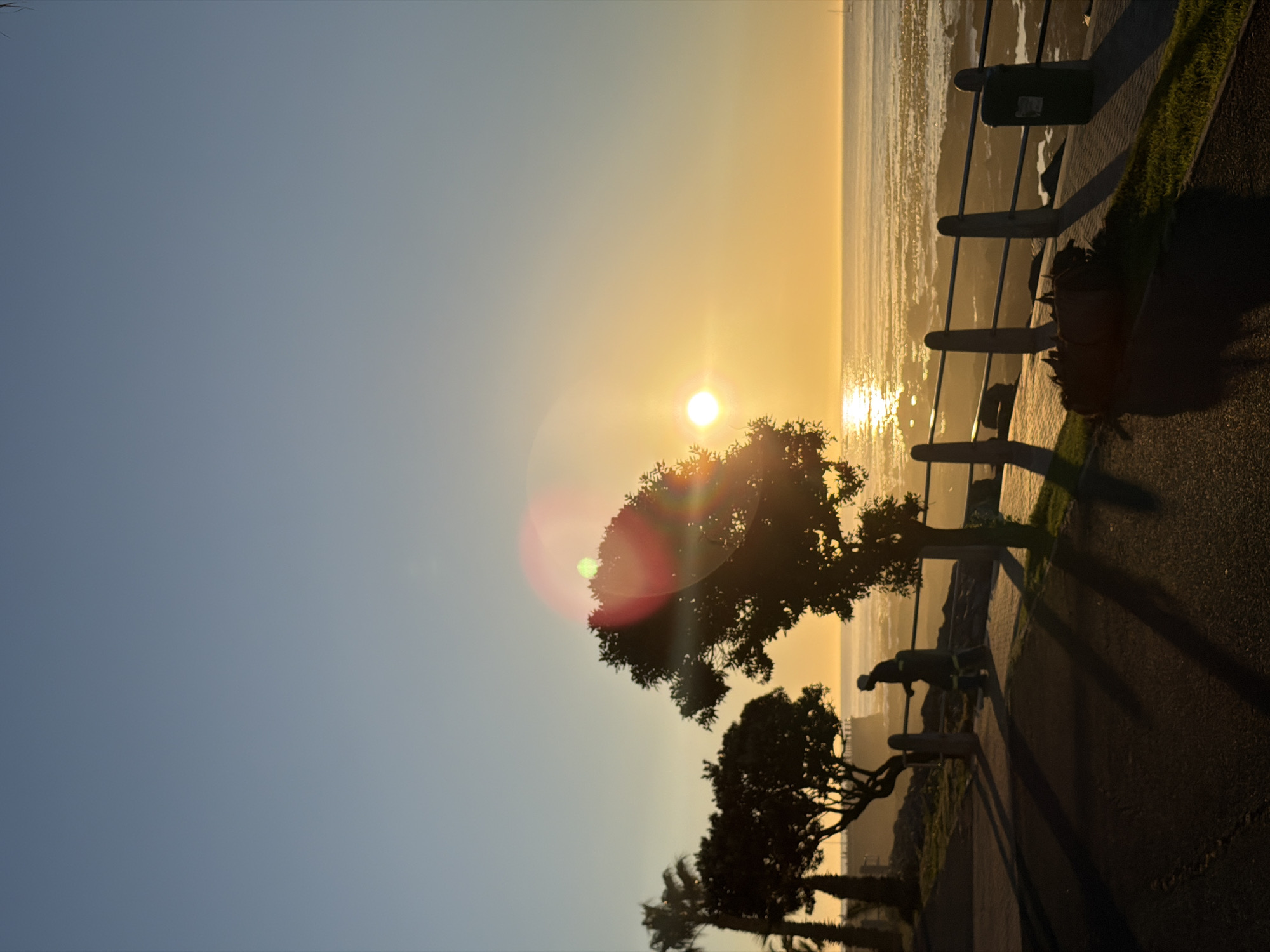 This image captures a sunset over the ocean in Cape Town, South Africa, likely at the Sea Point promenade. The sun, a bright, luminous orb, is positioned low on the horizon, casting a warm, golden glow across the sky and water. Lens flares from the sun are visible, appearing as red and green circles.
In the foreground, a paved walkway runs parallel to the coastline, bordered by a railing. The walkway is cast in long shadows from the trees. A lone figure, silhouetted against the light, stands near the railing, appearing to be a person engaged in some activity, possibly cleaning or tending to the area. Nearby, a dark green trash receptacle is situated next to the railing.
Several trees are scattered along the promenade, their silhouettes stark against the brightly lit sky and sea. One palm tree is visible to the left of the frame. The ocean is active, with visible waves and whitecaps reflecting the sunlight. The sky transitions from a clear, pale blue at the top to a vibrant orange and yellow near the horizon, indicating the progression of sunset. The overall atmosphere is serene and picturesque, characteristic of coastal sunsets in Cape Town.