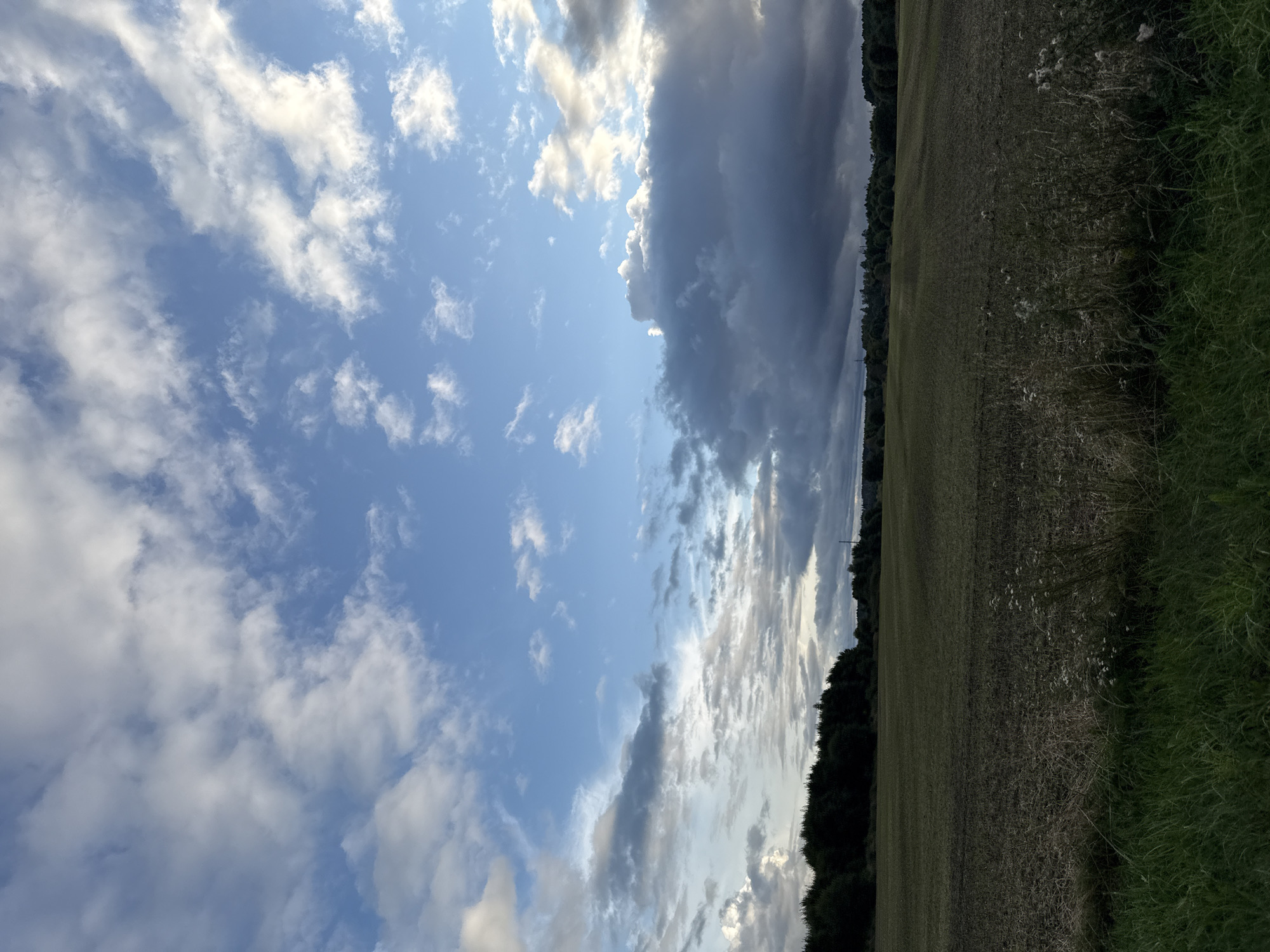 A wide-angle vertical shot captures a rural landscape under a dramatic sky. The foreground is dominated by a dark, tilled field with patches of dry grass and a strip of green grass along the very bottom edge. A line of dark green trees forms a dense border across the middle ground, separating the field from the sky.

The sky itself is a focal point, featuring a mix of blue sky and an array of clouds. On the left side, scattered white clouds drift across a bright blue expanse. As the view moves towards the right, the clouds become larger, denser, and darker, with some appearing as heavy storm clouds. The overall lighting suggests either early morning or late afternoon.

There are no people or animals visible in the image. The scene appears to be in Järveküla, Estonia, characterized by its expansive fields and tree lines.