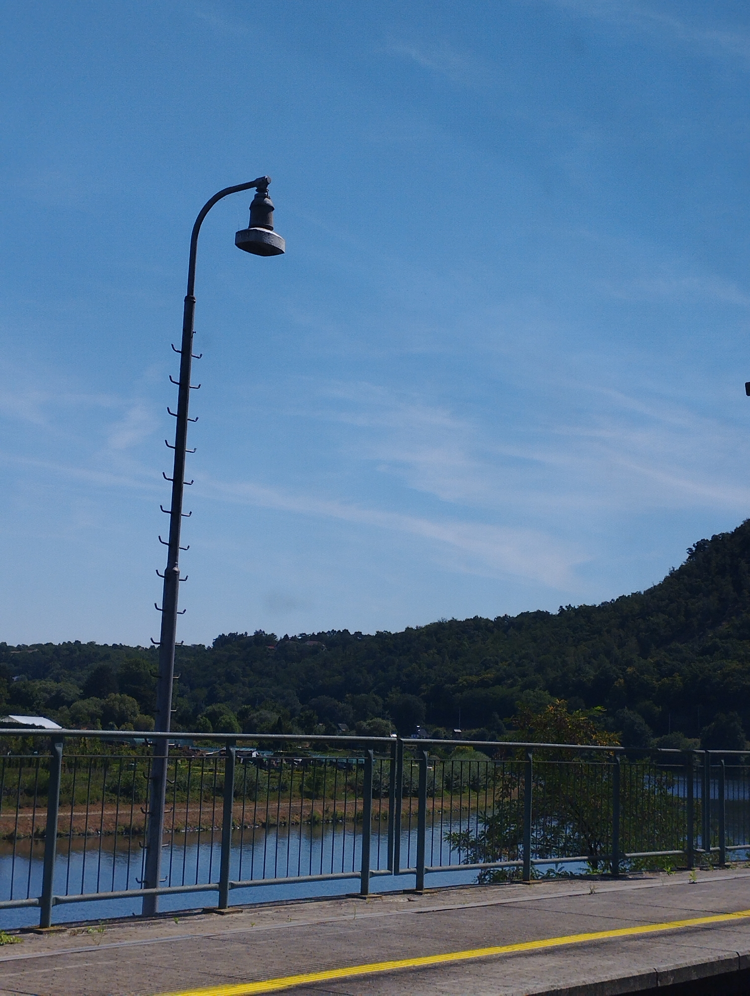 A street lamp with a curved arm stands on the left of the frame against a bright blue sky with wispy white clouds. The lamp post is tall and grey, with numerous small, hook-like attachments running vertically up its shaft. The lamp itself is grey and bulbous. In the background, a dense, dark green forest covers a hillside, with some houses visible among the trees. A metal railing with vertical bars runs horizontally across the lower part of the image, in front of a calm blue body of water. The railing is also grey. A yellow line is painted on the concrete path in the foreground.