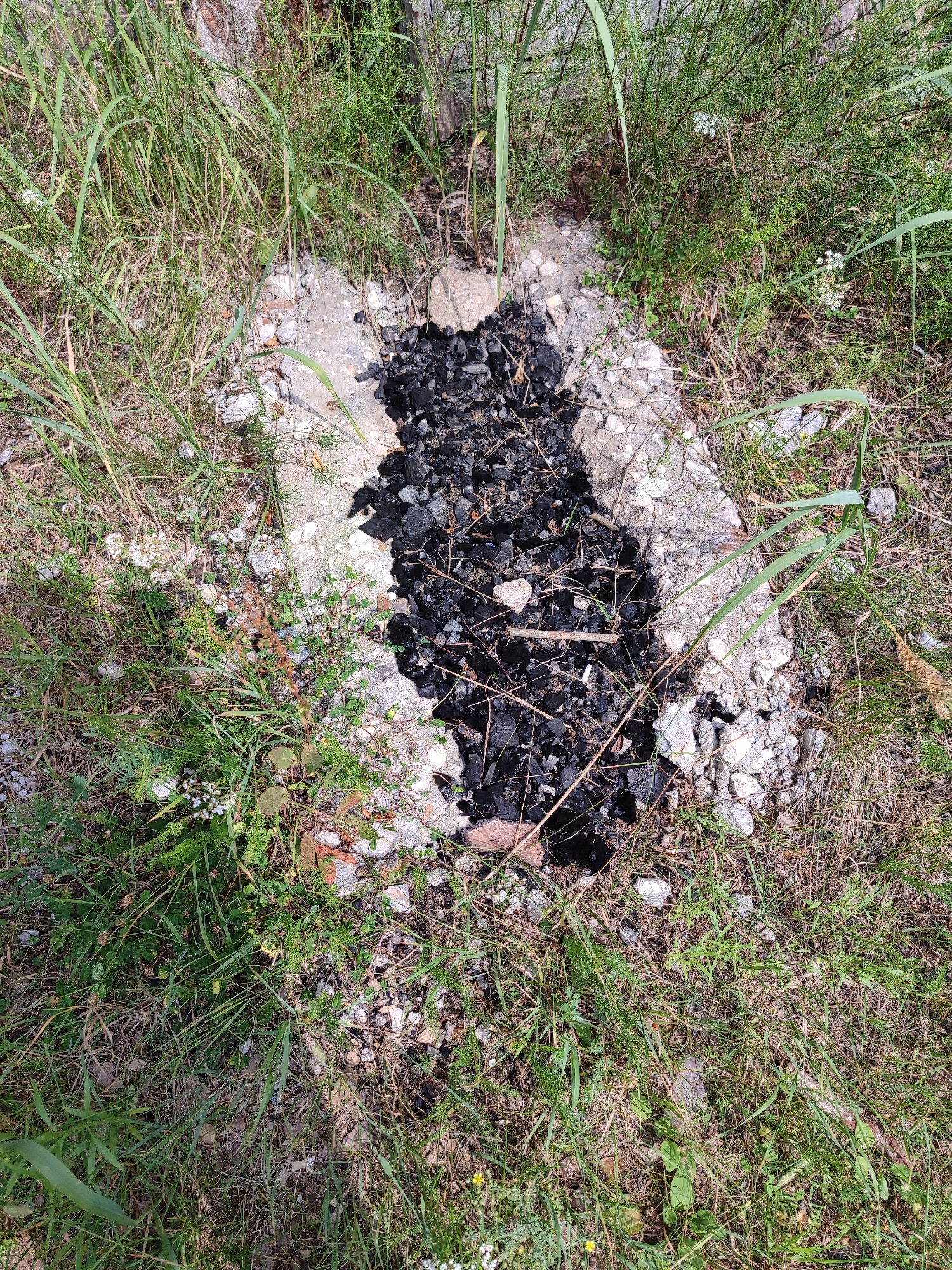 In a patch of dry grass and weeds, a concrete slab is present. The slab is broken and has a hole in the center. The hole is filled with black charcoal pieces and debris. Some small white flowers are growing in the grass. The lighting suggests it is daytime.