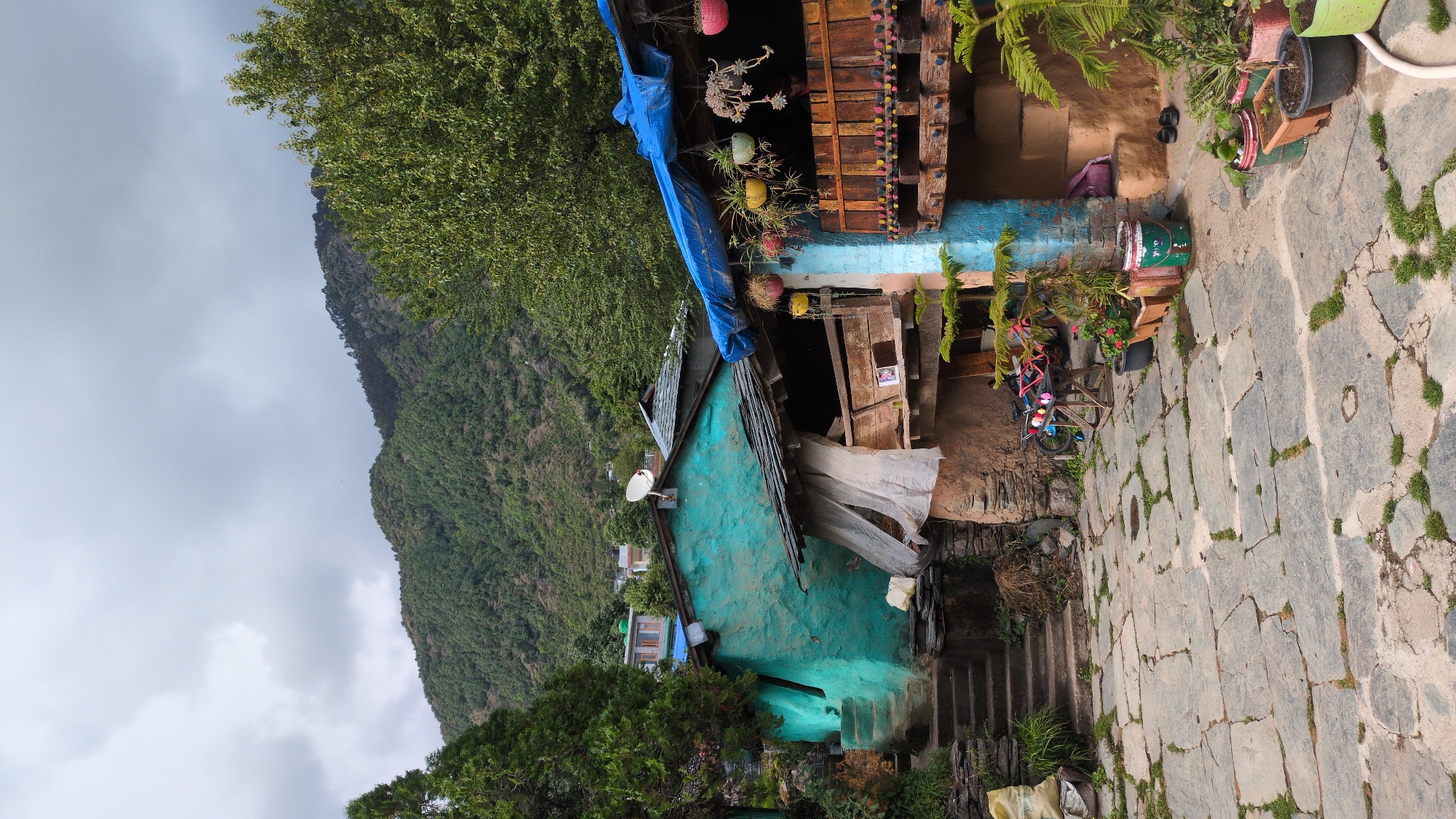 The image depicts a rural scene near Haini, India. A small, vibrant green house with a dilapidated roof and a satellite dish stands on a hillside. The house is partly concealed by lush green trees and foliage. Adjacent to the house, a structure with blue accents and hanging plants is visible. In front of the house is a cobblestone path interspersed with patches of grass. A mountain covered in dense vegetation rises in the background under a cloudy sky. A bicycle sits near the entrance to the house.
