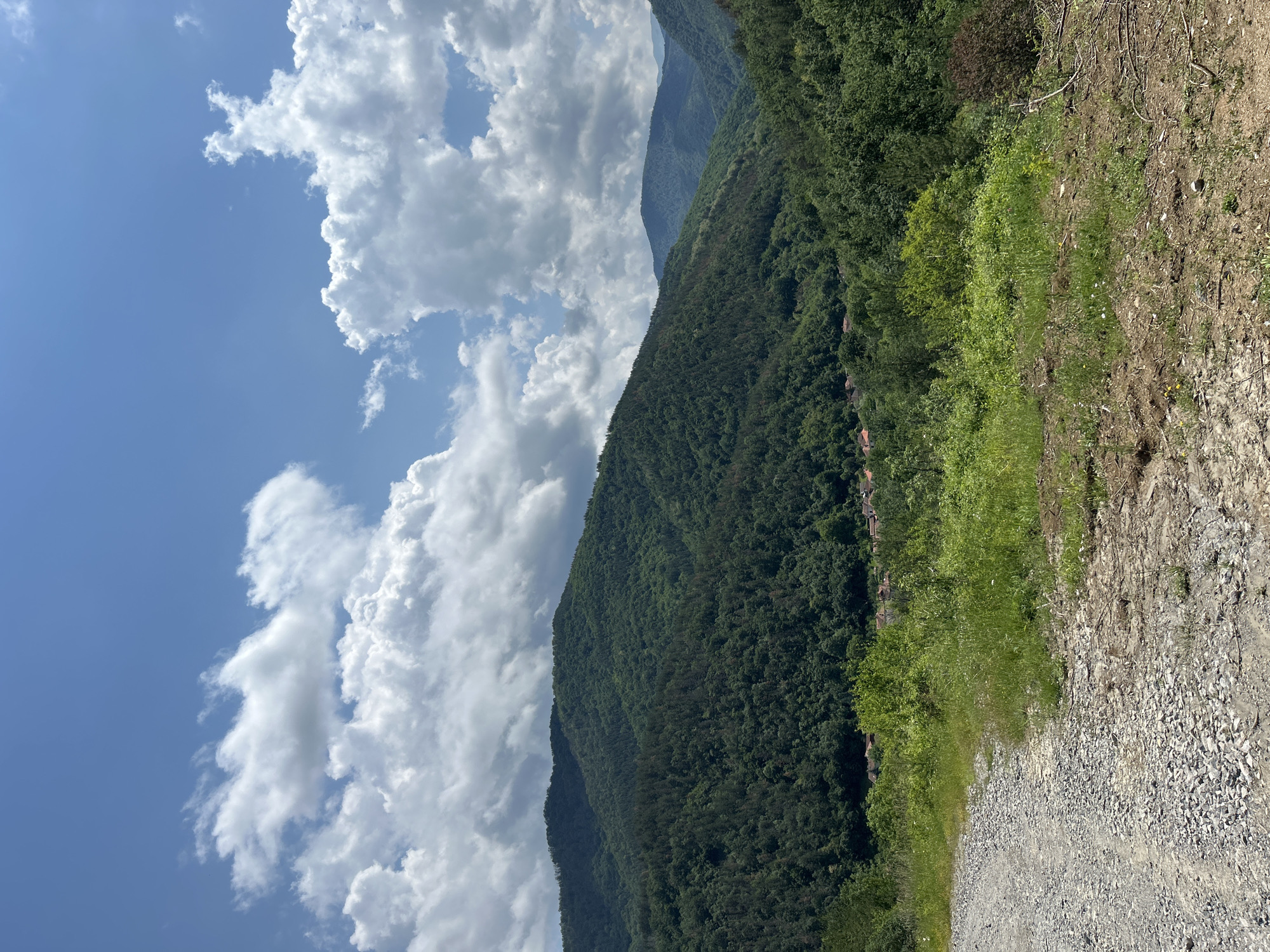 This is a landscape photograph depicting a mountainous region under a partly cloudy sky. In the foreground, a rough, unpaved path made of light-colored gravel and dirt occupies the right side of the image, curving slightly inwards. Adjacent to this path, a green grassy slope with various plants descends towards the left.
The central and left portions of the image are dominated by expansive, densely forested mountains. These mountains are covered in lush, dark green trees, suggesting a rich natural environment. Small structures with reddish-brown roofs are faintly visible nestled among the trees on the lower mountain slopes, indicating sparse human habitation. Further in the background, successive layers of mountains recede into the distance, appearing lighter and hazier, conveying depth.
Above the mountain range, the sky is a clear, vibrant blue. It is dotted with numerous large, bright white cumulus clouds that are well-defined and fluffy, indicating fair weather conditions. The lighting suggests it is daytime, likely mid-morning or afternoon. No people or specific activities are visible in the scene, contributing to a serene and natural atmosphere. There is no discernible text in the image.