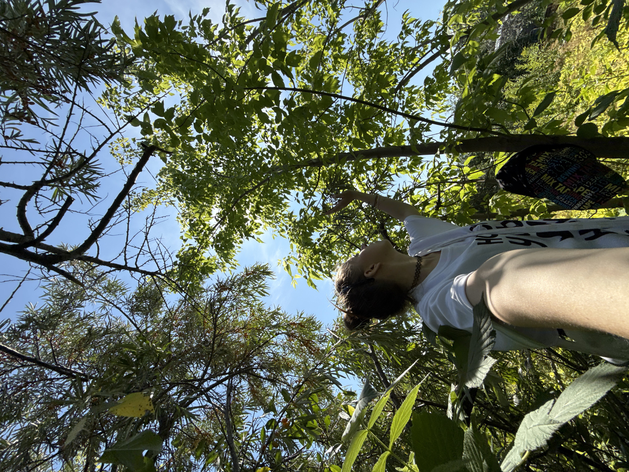 In an outdoor environment surrounded by lush green foliage and trees, a young person with their hair pulled back in a bun is captured from a low angle looking upwards towards the sky. They are wearing a white t-shirt and a black choker necklace. The person's right arm is extended, seemingly reaching for something among the leaves of a tree. Sunlight filters through the dense canopy, creating dappled light and shadows. A backpack with colorful text patterns is seen hanging on a tree trunk in the background, amidst the vibrant greenery. The scene suggests a moment of exploration or enjoyment of nature in a wooded area.