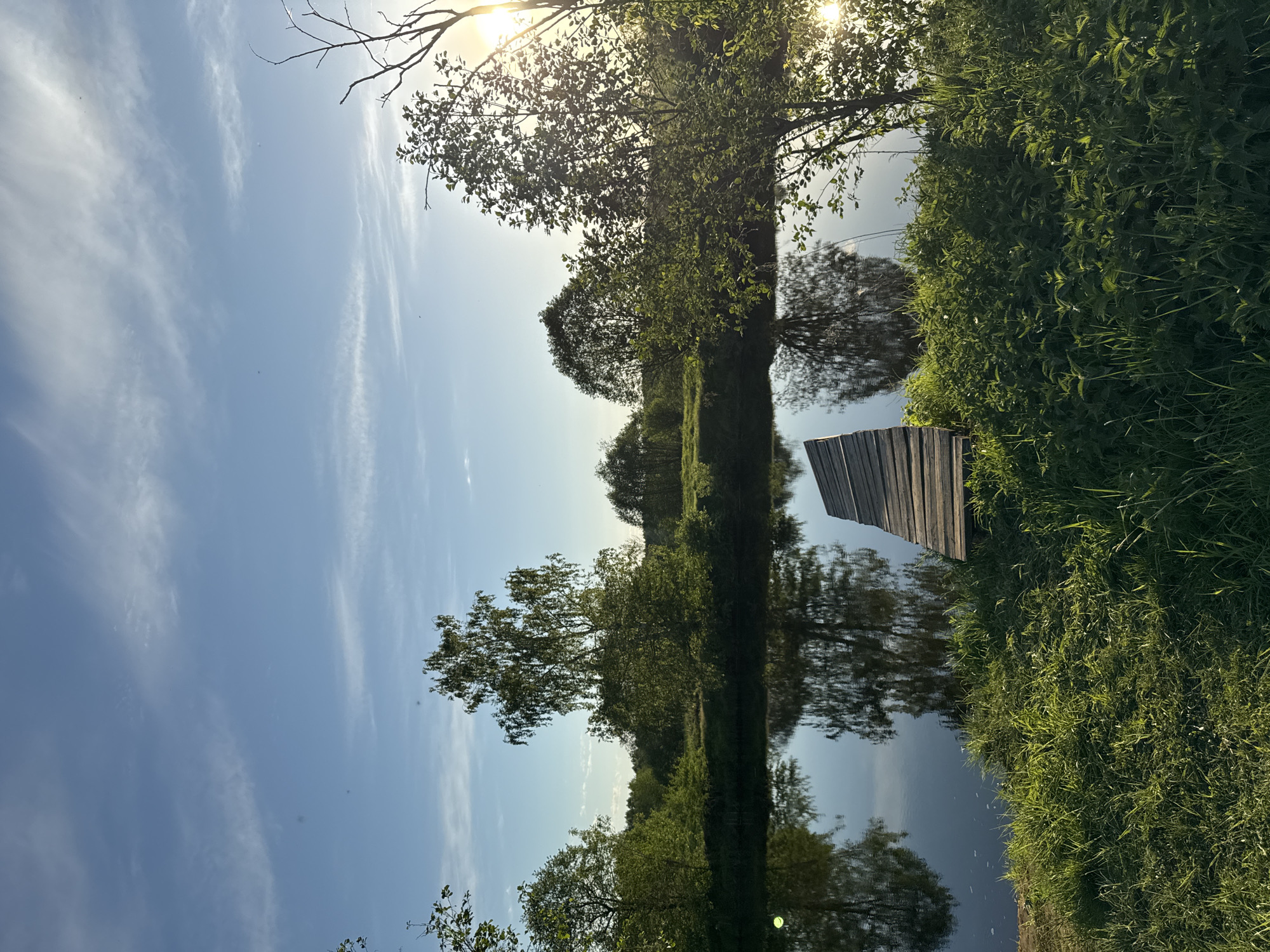 The image shows a tranquil scene on a body of water, potentially a lake or river, near Egorii, Russia. The sky is light blue with wispy clouds and the sun shining brightly behind trees along the shoreline. Trees and tall green grass line the bank, and their reflections are visible in the water. A small wooden dock extends from the grassy bank into the water. No people or animals are visible in the image. The overall impression is one of peacefulness and natural beauty.