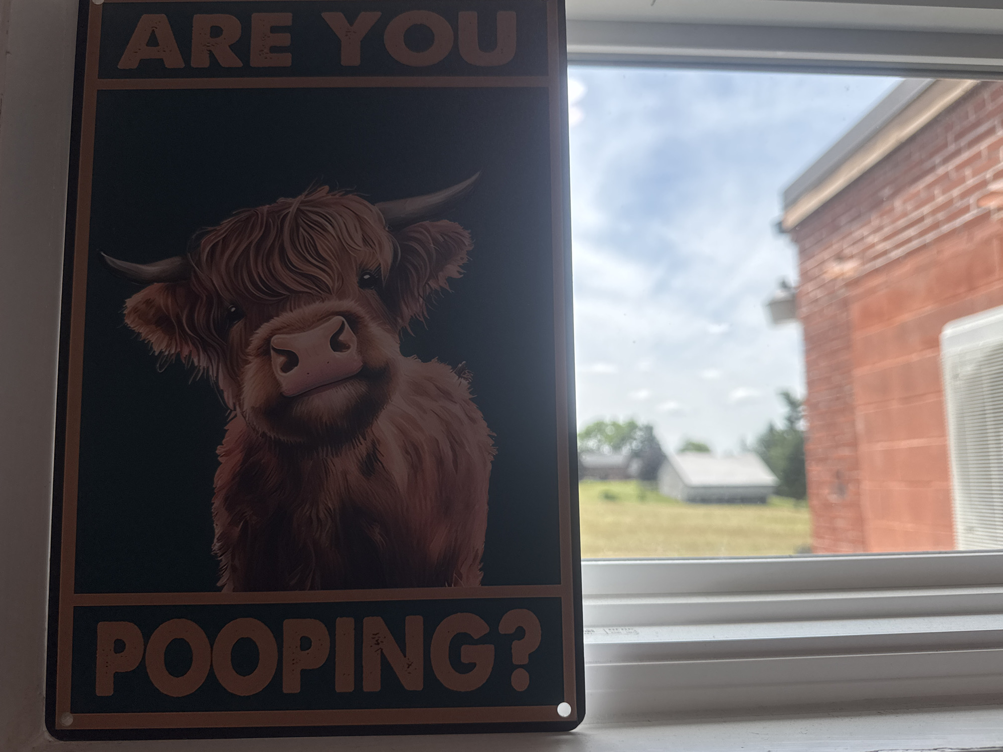 A metal sign featuring a Highland cow is leaning against a window frame. The sign has a dark background with text at the top and bottom. The text at the top reads "ARE YOU" and the text at the bottom reads "POOPING?". The cow is depicted from the chest up, with its head turned slightly towards the viewer. The window looks out onto a rural scene with fields, trees, and buildings under a cloudy sky. A red brick building and part of an air conditioning unit are visible to the right of the window.