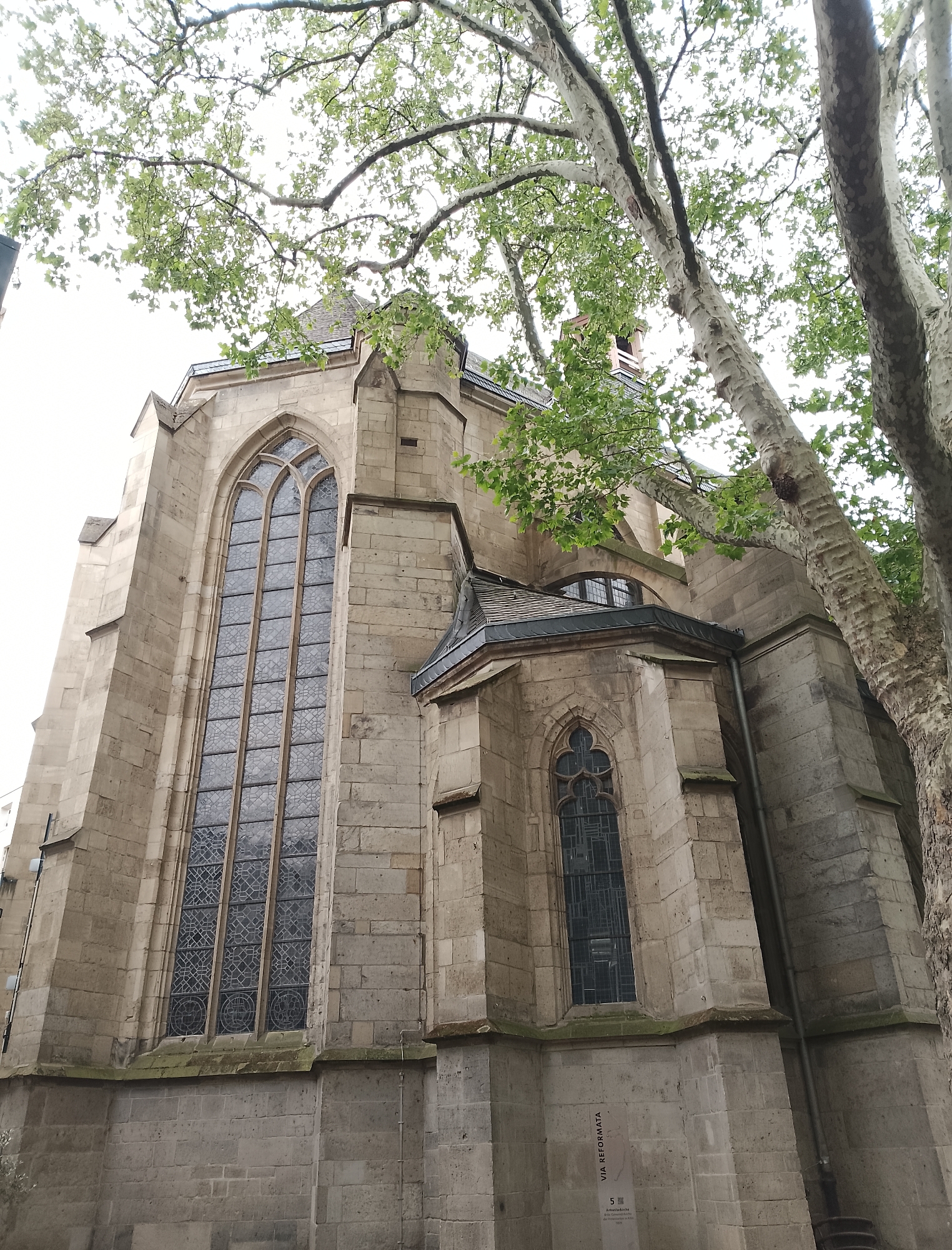 An upward angle exterior shot of a large, stone church building is captured under a canopy of large trees with green leaves and light bark. The church features Gothic architecture, characterized by pointed arches above windows and buttresses supporting its structure. A tall, narrow stained-glass window with intricate patterns is prominent on the left side of the building, while a smaller, similarly styled window is visible on the right. The stone appears weathered and aged, with some moss and discoloration. The foreground is dominated by the thick, textured trunks and branches of the trees, which obscure parts of the sky and the upper sections of the church. Below the smaller window on the right, a sign is affixed to the stone wall; it reads "VIA REFORMATA" and contains some text in German. The sky is overcast, providing a soft, diffused light.