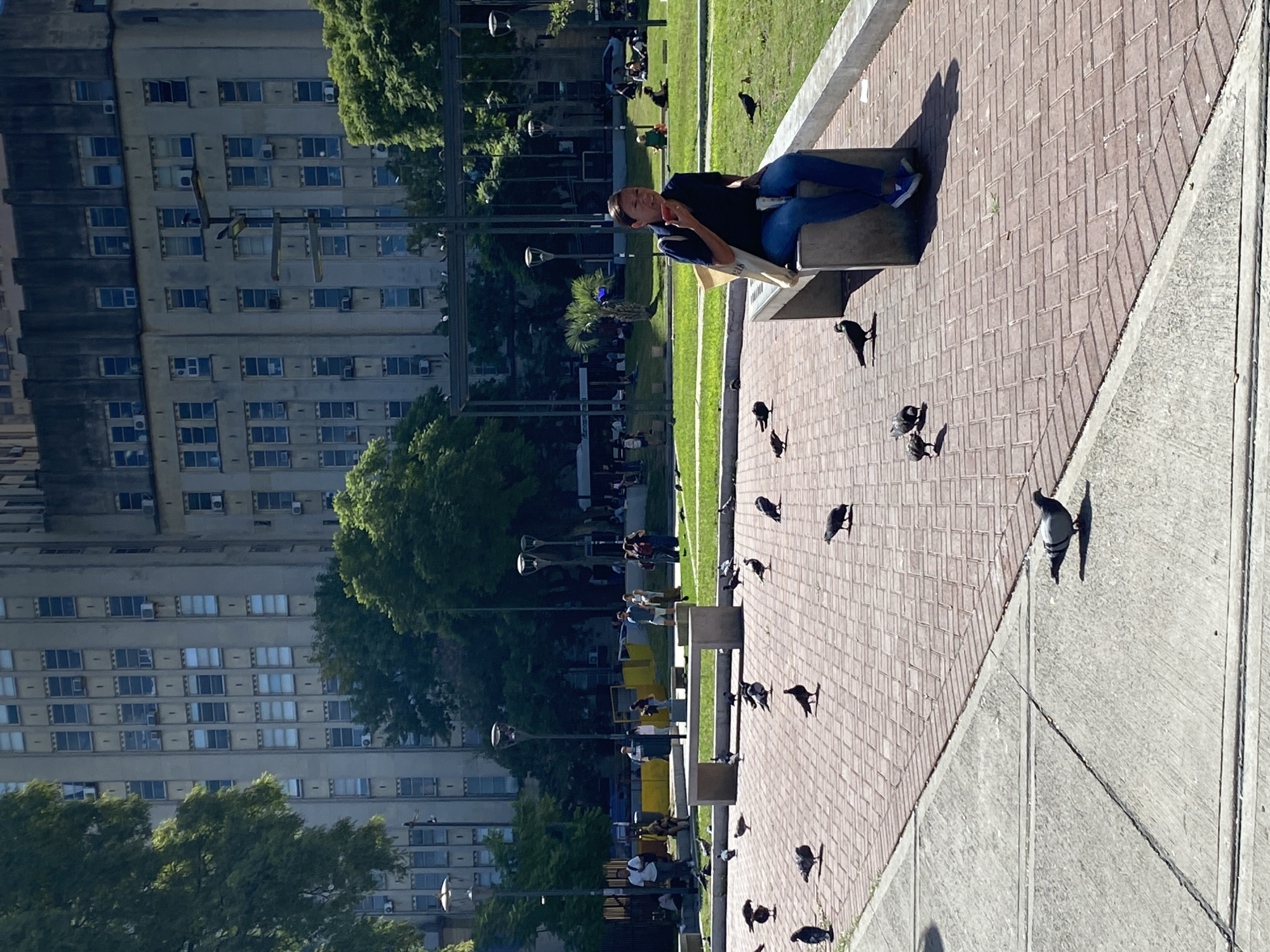 The image depicts a public park in Buenos Aires, Argentina, with the prominent Ministry of Public Works building on Avenida 9 de Julio visible in the background. A woman, dressed in a dark blue short-sleeved top, blue jeans, and blue sneakers, sits on a light-colored concrete bench positioned in the mid-ground, right of center. She holds a red object to her mouth, appearing to eat, and has a light-colored tote bag slung over her left shoulder. Approximately 25-30 gray pigeons are dispersed across the reddish-brown brick pavement in the foreground and mid-ground, with additional pigeons observed in the grassy areas and on structures. In the background, multiple individuals are visible within the park's grassy expanse, some seated on benches or the ground, others standing. The environment includes numerous trees, modern streetlights, and temporary yellow barriers in the distant background. The Ministry of Public Works building is a tall, multi-story structure with a concrete facade featuring numerous rectangular windows, many equipped with external air conditioning units. The scene is illuminated by strong, clear daylight, casting distinct shadows.
