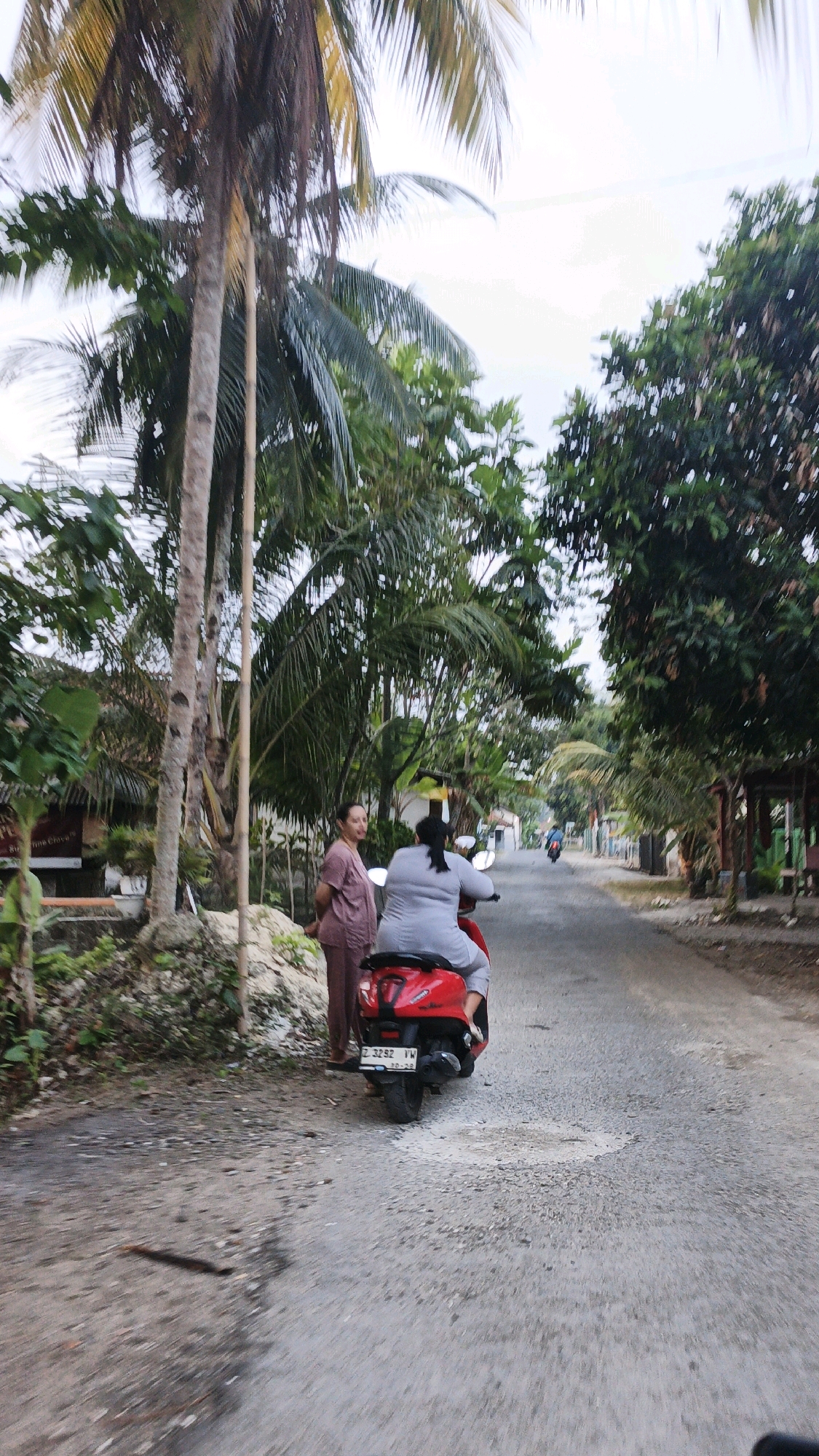 In Desa Cijulang, Indonesia, two individuals are present near a narrow, unpaved road lined with lush vegetation and palm trees. On the left, a person stands by a pile of sand and rocks. To the right, another person, wearing a grey outfit, is seated on a red scooter, facing away from the camera and moving down the road. The scooter has a visible license plate, "Z 3282 VW". The environment suggests a rural or semi-rural setting with modest buildings and natural foliage flanking the road.