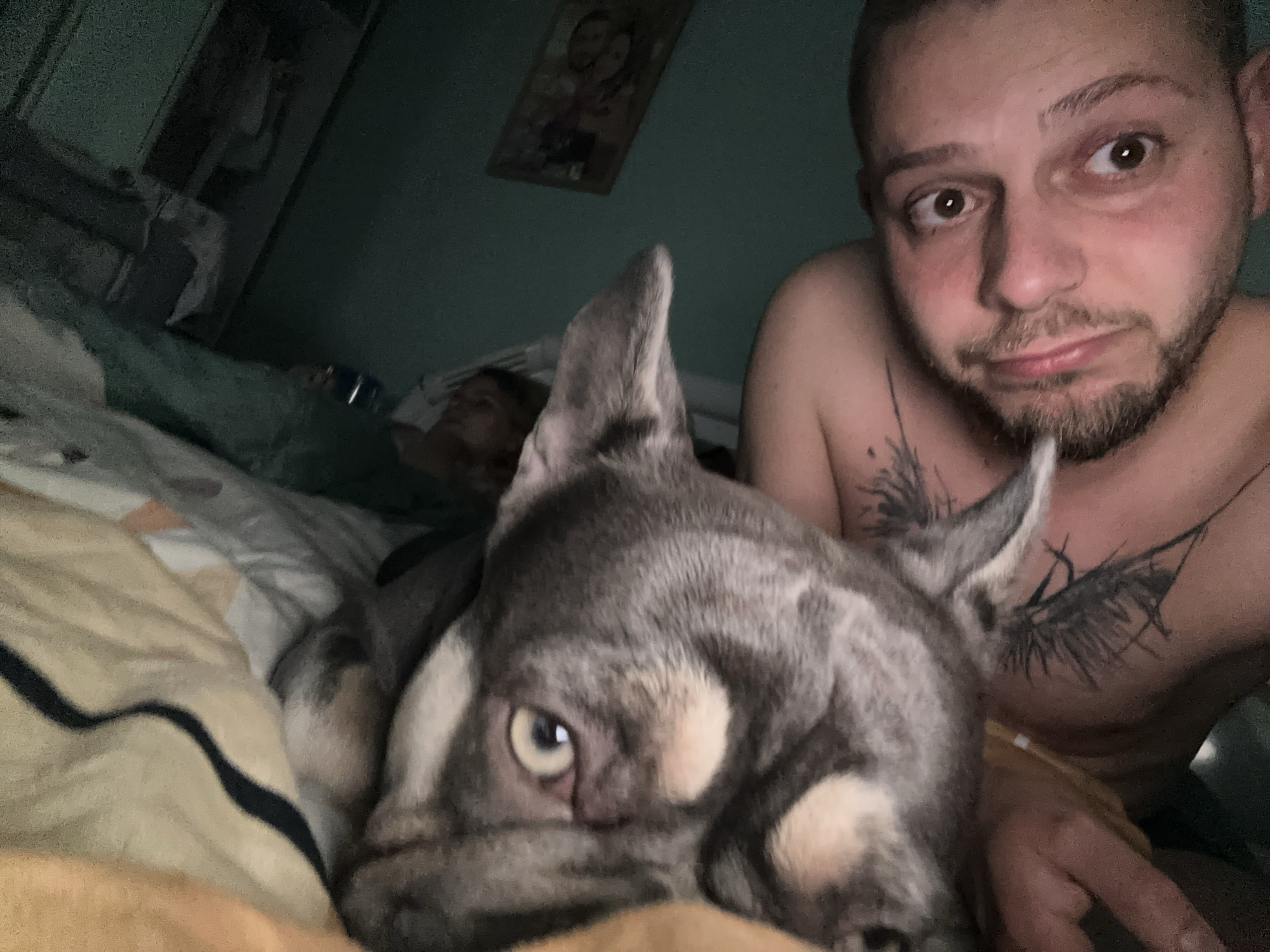 An indoor, eye-level, medium shot shows a man and his dog in bed. The man, on the right, is shirtless and has a beard and tattoos. He is looking at the camera with wide eyes. His dog, a gray and white bulldog, is in the foreground, lying on its side and looking towards the camera with one eye open. The background is dark and appears to be a bedroom with a framed picture on the wall. The image is blurry and low-resolution.