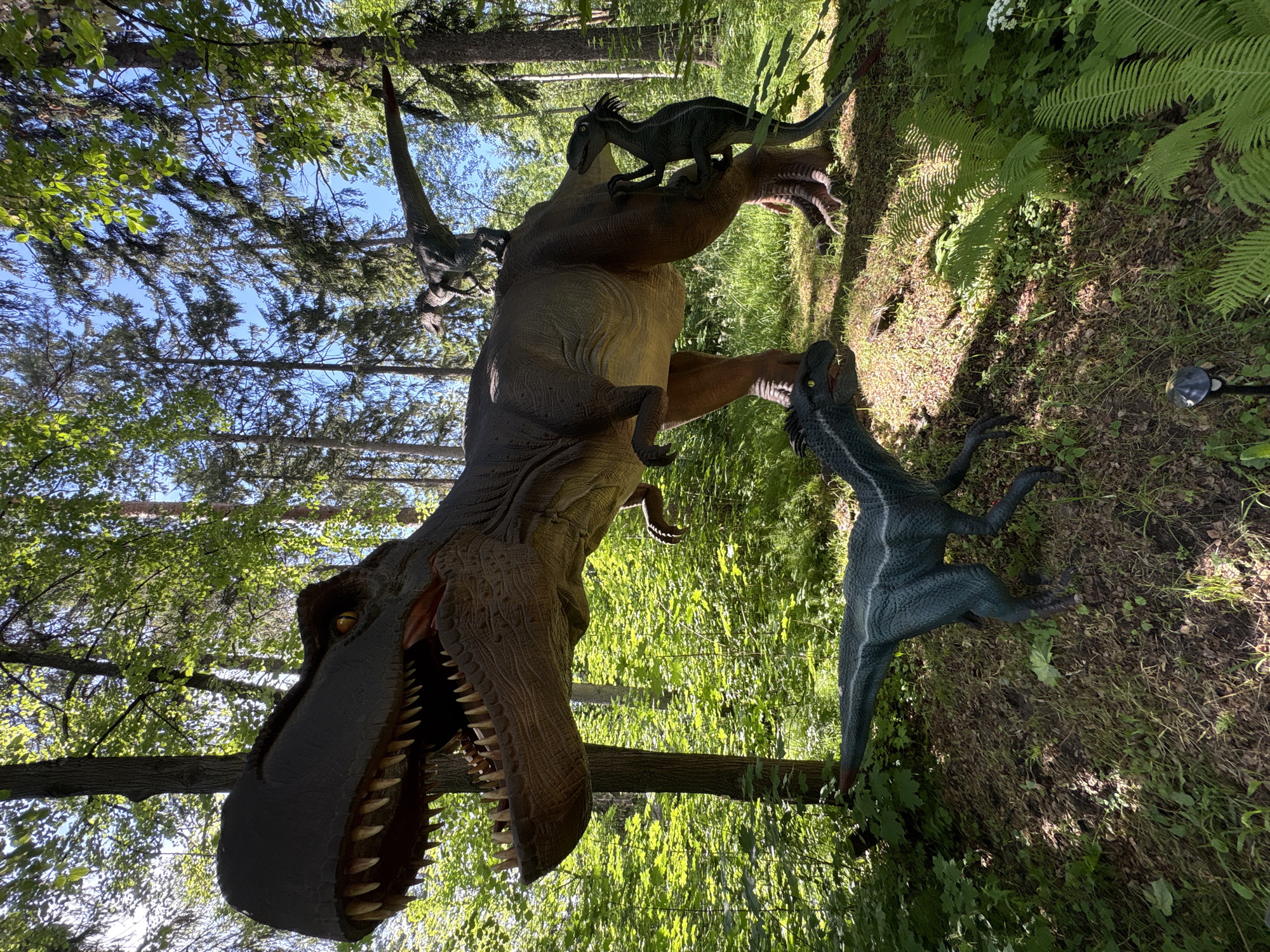 The image depicts a scene from the Izhevsk Zoo's dinosaur park, located in Izhevsk, Russia. The foreground features a dark blue-green dinosaur model with sharp teeth and yellow eyes, positioned on a grassy, wooded ground. Behind it, a large brown Tyrannosaurus Rex model dominates the frame, its mouth open, revealing sharp teeth. Smaller dinosaur models are perched on the T-Rex's back and hindquarters, appearing to interact with the larger figure. The environment is a sun-dappled forest with lush green foliage and tall trees reaching towards a clear blue sky. The ground is covered in grass, leaves, and ferns. A small, black garden light is visible in the lower foreground.