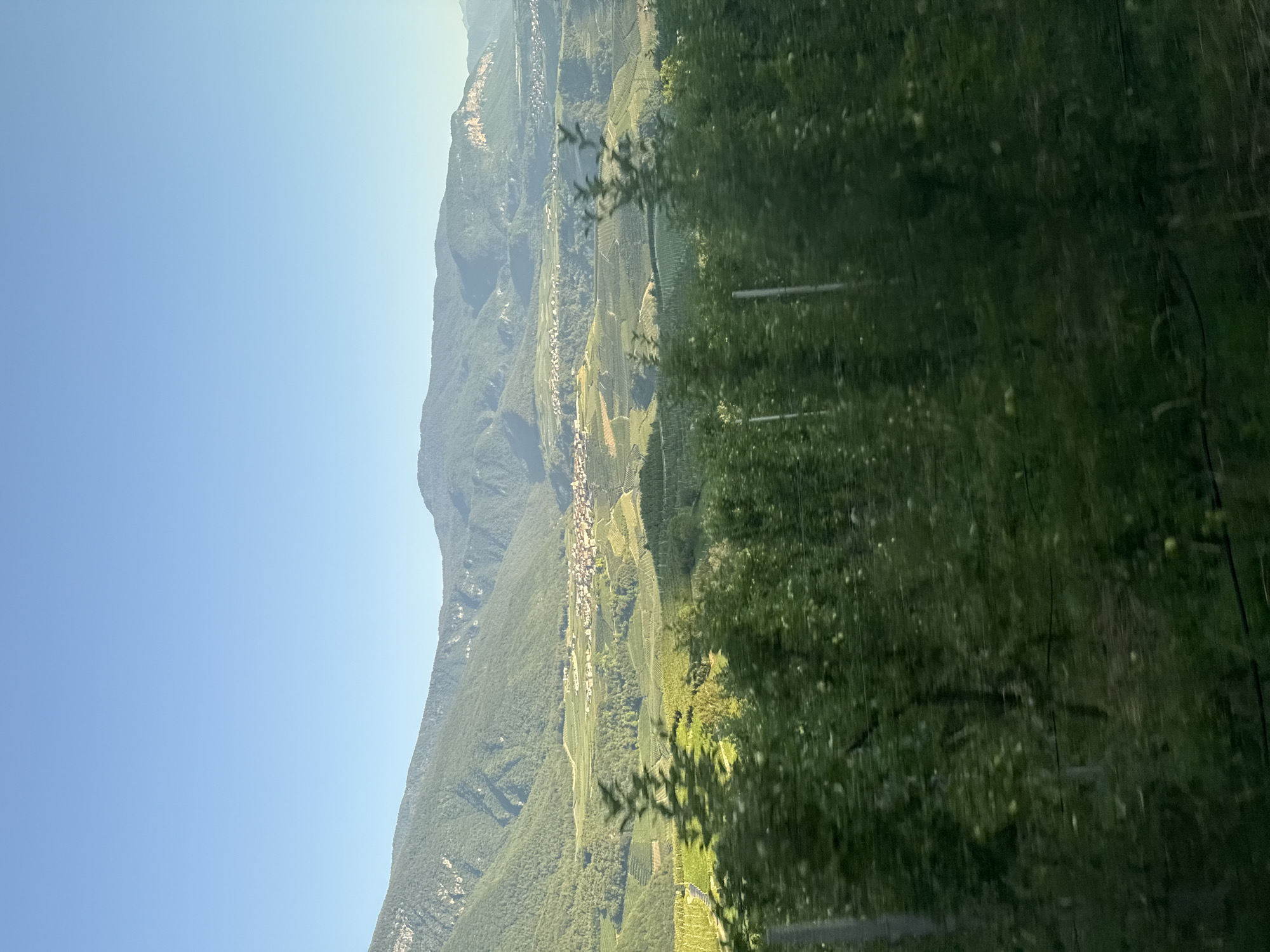 The image shows a landscape view of the city of Spormaggiore, Italy. In the foreground, there are dark green trees with some blurred motion. Behind the trees, there are terraced vineyards and fields on rolling hills, with a town visible in the mid-ground. Further in the background, there are lush green mountains under a clear blue sky. The scene appears to be captured during the daytime, likely in the late afternoon or early evening due to the quality of light.
