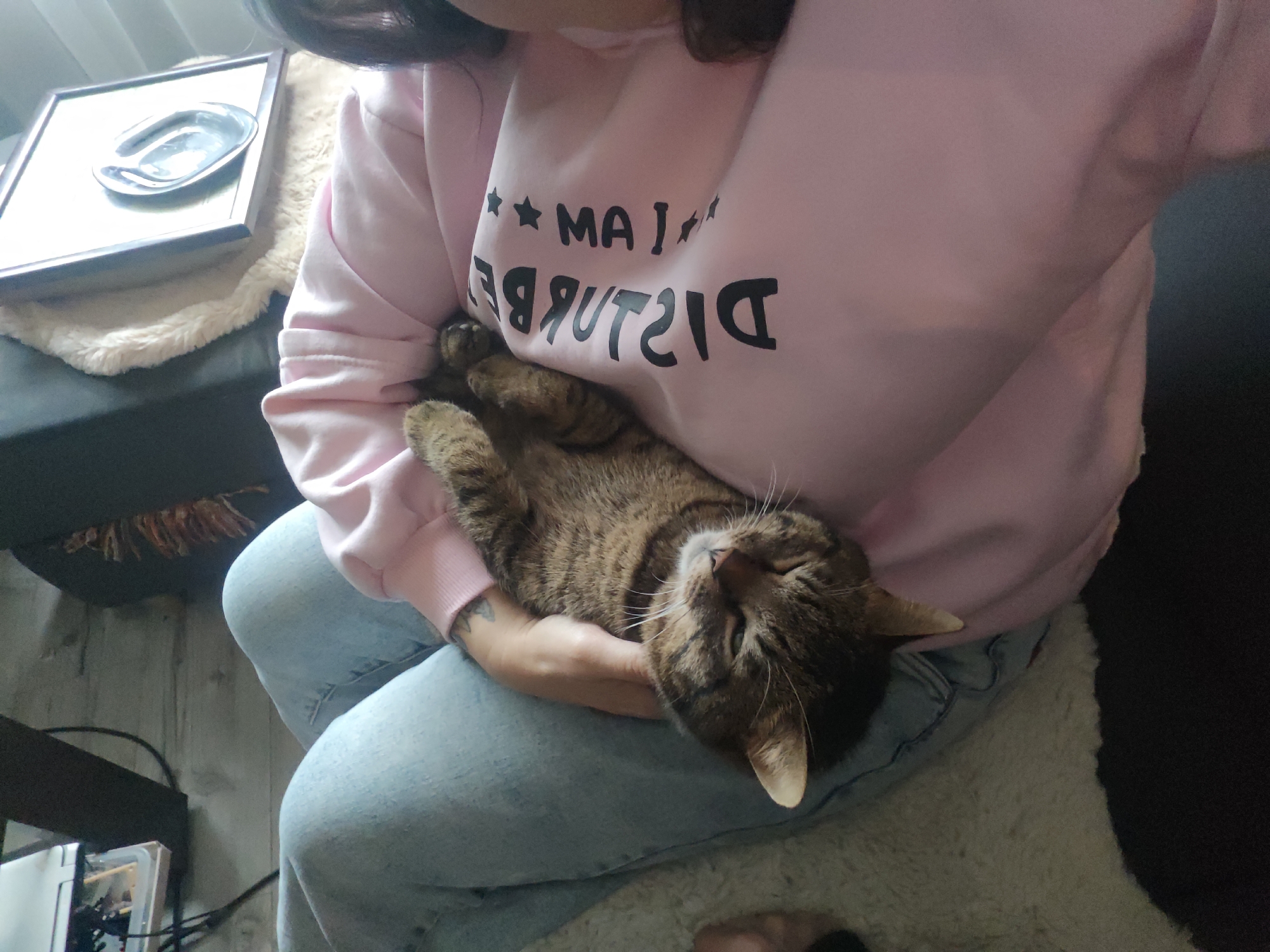 A person is holding a tabby cat. The person is wearing a pink sweatshirt with the words "MAY I DISTURB" printed in reverse. They are also wearing blue jeans. The cat is lying on its back in the person's arms. A framed dish is visible in the background, resting on a fur-like surface. The floor appears to be made of light-colored wood. The image gives no information about the location in the city of Свистуха (кузяевский С/о), Russia.