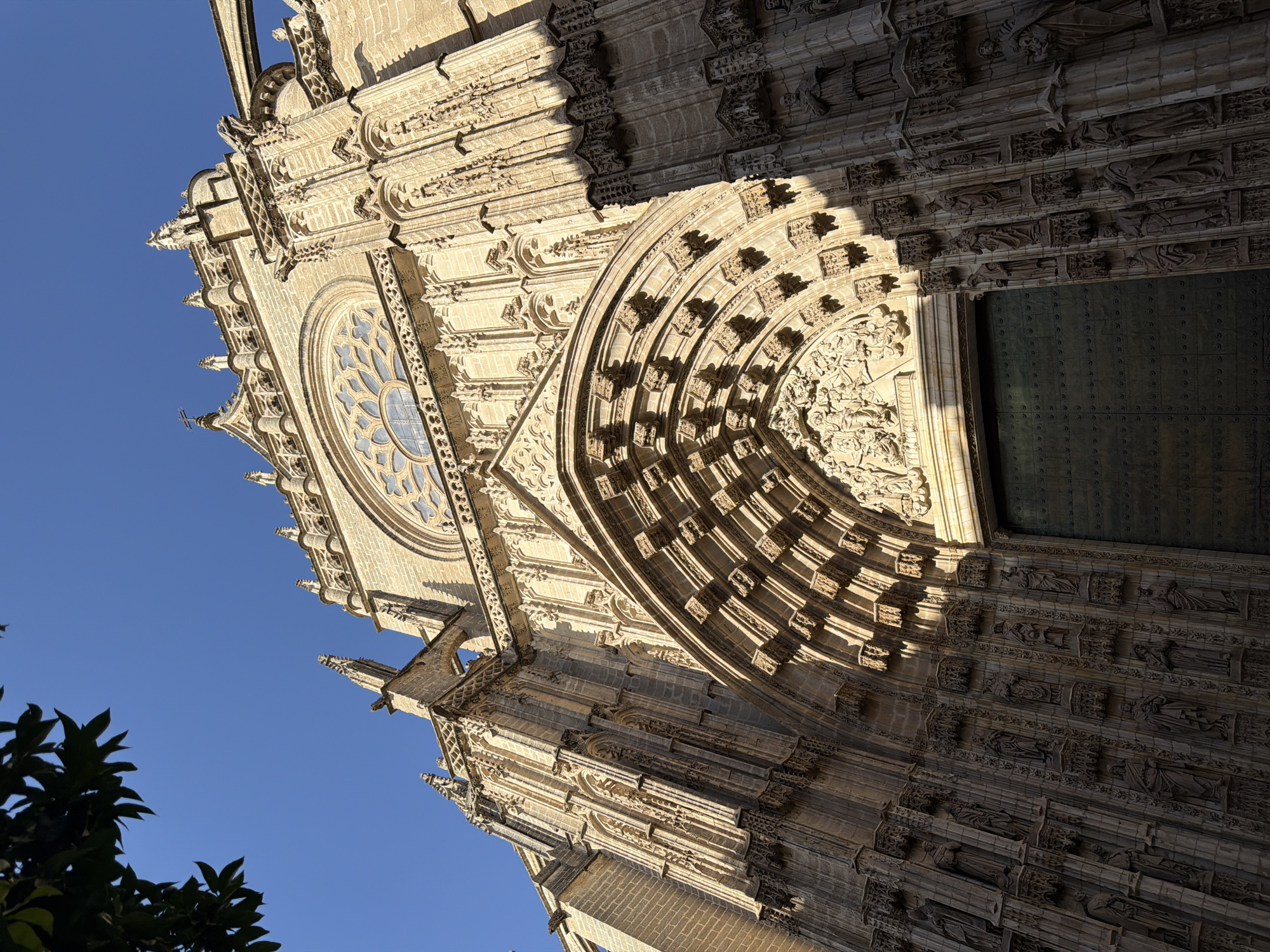 The image shows a low-angle view of the ornate facade of a large Gothic cathedral, likely Seville Cathedral in Spain, bathed in strong, direct sunlight. The sky is a clear, vibrant blue, suggesting a bright, sunny day.
The cathedral's architecture is characterized by intricate stonework, including elaborate carvings, pointed arches, and multiple levels of detailed ornamentation. A large rose window with stained glass is visible on the upper left side of the facade. Sunlight casts sharp shadows across the stone, highlighting the depth and texture of the carvings, which appear to depict figures and scenes. A massive, dark, metal-clad door is visible on the right side of the image, partially in shadow.
The image is oriented with the top of the cathedral towards the left. In the lower left corner, the dark green leaves of a tree or shrub are silhouetted against the bright blue sky, providing a contrast in scale and texture to the monumental stone structure.
The overall impression is one of grandeur and historical significance, with the sunlight emphasizing the detailed artistry and imposing scale of the cathedral. The scene conveys a sense of awe and the passage of time. No visible text is present in the image.