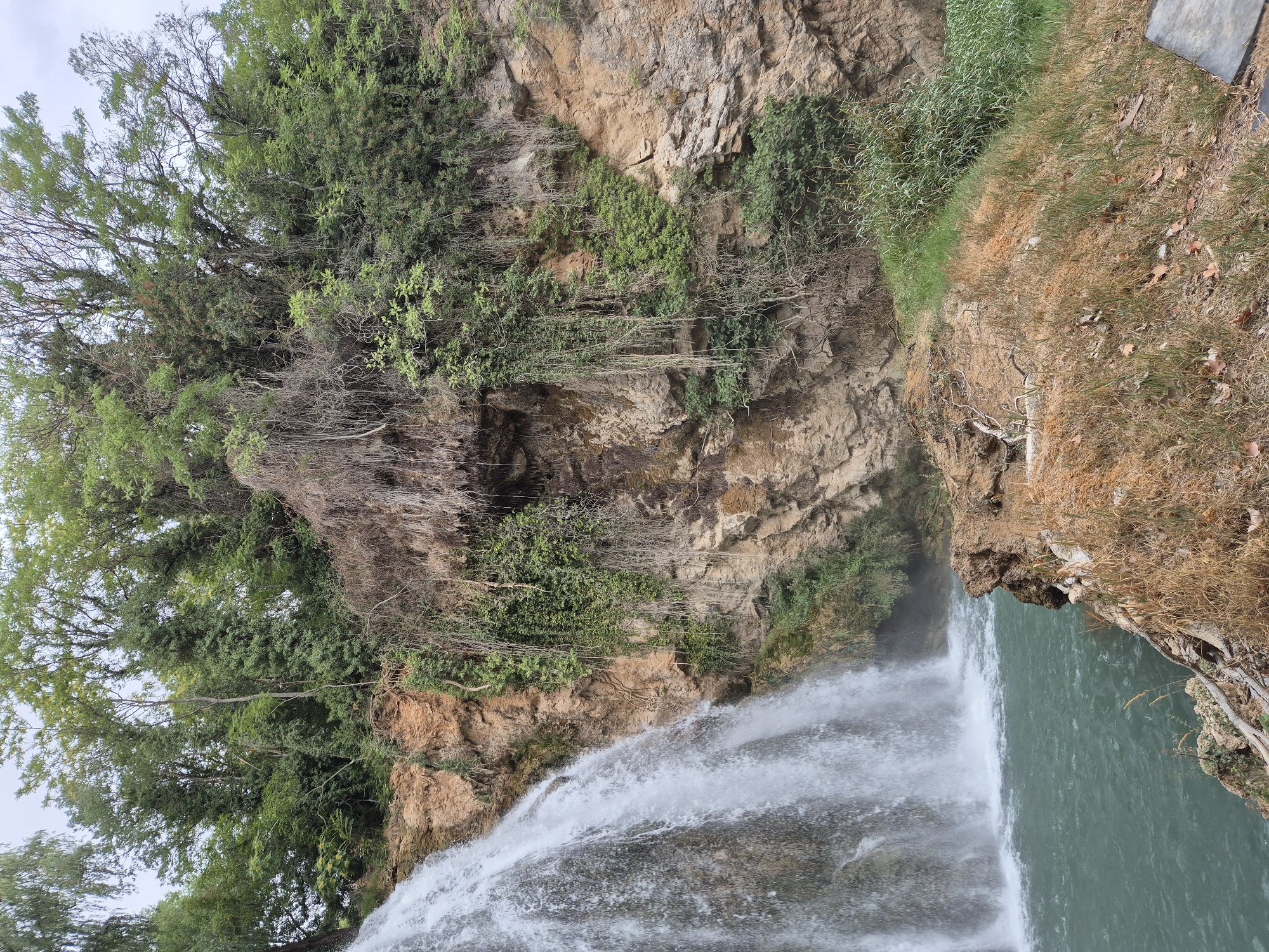 In an outdoor natural environment, a waterfall cascades down a rocky cliff face covered in lush green vegetation and dry vines. The water plunges into a clear, turquoise pool at the base. The cliff is composed of layered rock formations in shades of brown and tan. Dense trees and foliage crown the top of the cliff, with some branches extending over the waterfall. The foreground features a dry, grassy embankment with scattered leaves and some small rocks. The sky above is overcast. No people are visible in the scene.