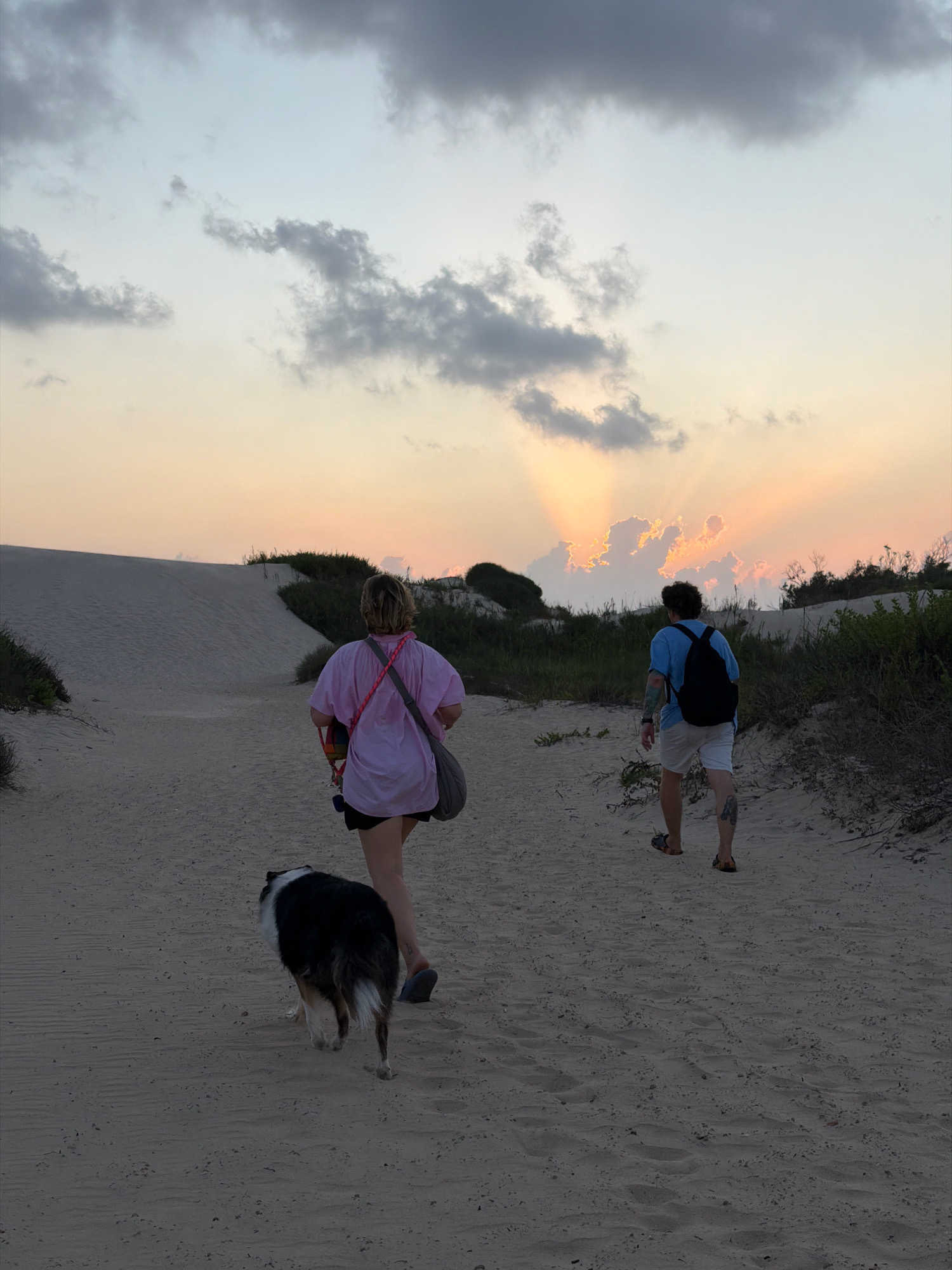Two individuals and a dog are walking on a sandy path towards sand dunes under a cloudy sky during sunset in Palmachim, Israel. The person on the left, facing away from the camera, wears a pink shirt and shorts, with a grey bag slung over their shoulder. The dog, a tricolor collie mix, walks beside them. The person on the right, also facing away, wears a blue t-shirt, white shorts, and a backpack. They are wearing sandals. The sun is setting behind the clouds, casting rays of light and painting the sky in shades of orange and yellow. Sparse vegetation grows on the sand dunes surrounding the path.