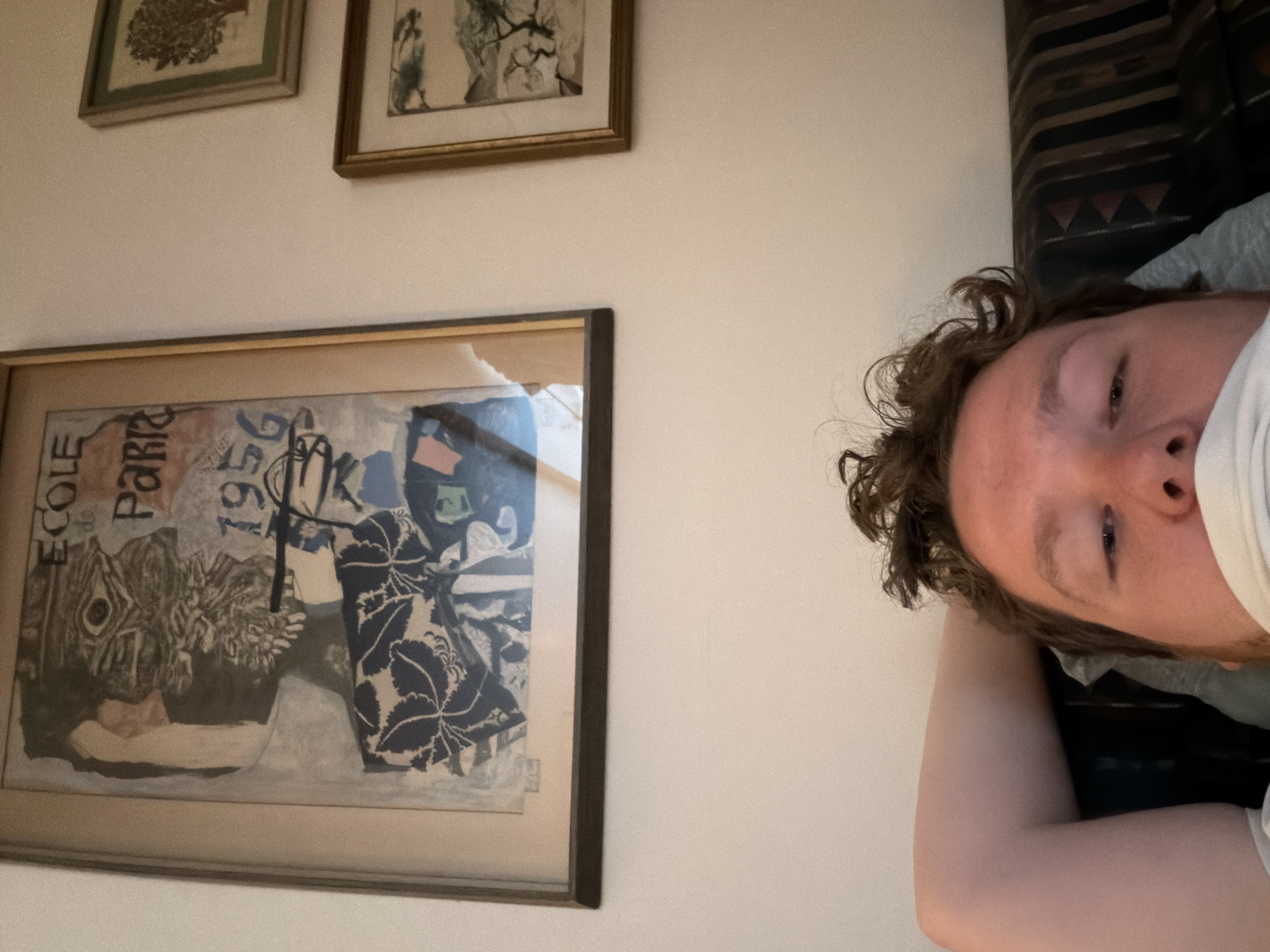 A horizontally oriented photograph features a person lying down, with their face and shoulder visible on the right side of the frame. The person has curly brown hair and fair skin. They appear to be resting against a patterned cushion or upholstered surface.
To the left of the person, occupying a significant portion of the image, are three framed artworks hanging on a light-colored wall. The lowest artwork is the largest and depicts a collage-style image with text and abstract shapes. Above it are two smaller framed artworks, the contents of which are less distinct.
There is no information within the image to confirm a location in New York City or the United States of America. Therefore, it is not possible to ascertain the location from the provided image.