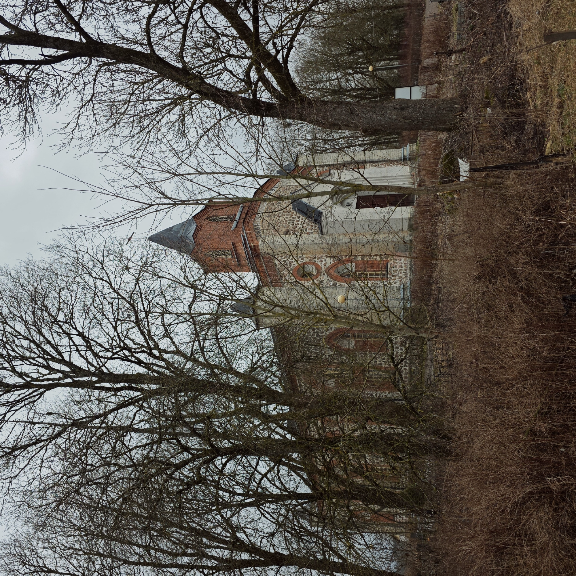 The image captures a partial view of the Church of the Holy Trinity in the village of Gubanitsi, Russia. The architectural style includes a red brick tower and stone walls, partially obscured by leafless trees. The foreground contains dry, brown brush and branches. The sky is overcast.