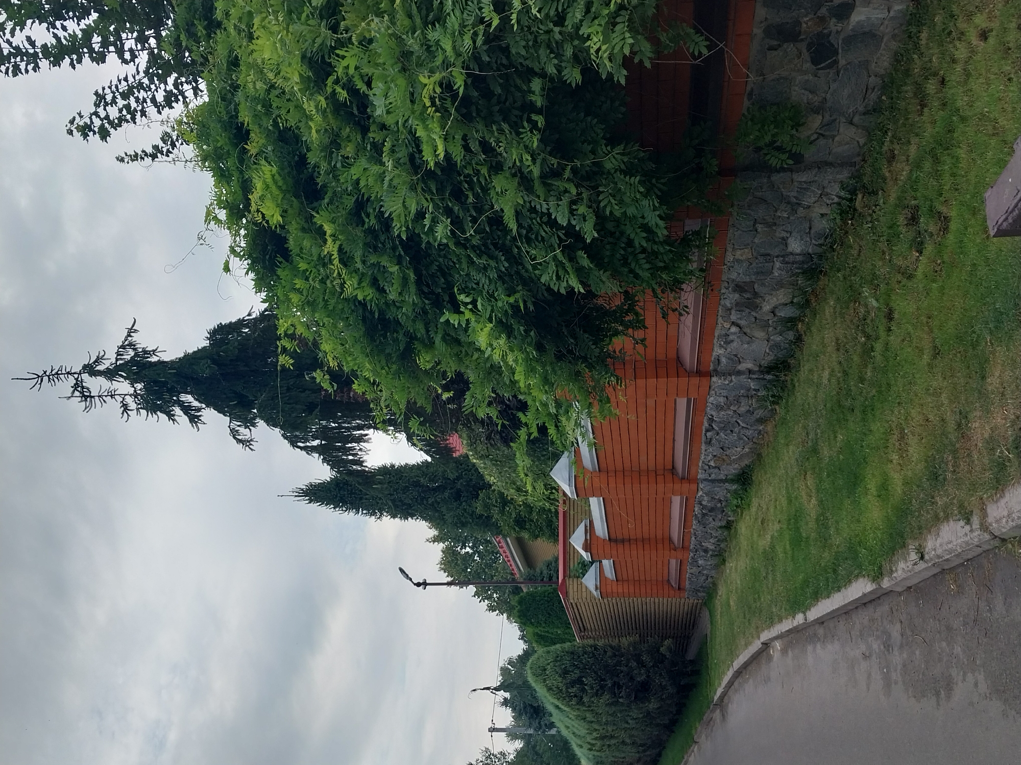 The image shows a residential street in Doslidne, Ukraine, with a tall brick and stone fence bordering a property. The fence is topped with decorative elements and a lush green vine is growing over it. A row of manicured evergreen trees lines the property on the other side of the fence, creating a dense green barrier. A street lamp stands tall beside the fence. The street itself is paved and curves to the left, with a grassy verge and sidewalk. In the background, more evergreen trees and glimpses of rooftops can be seen. The sky is overcast with gray clouds.