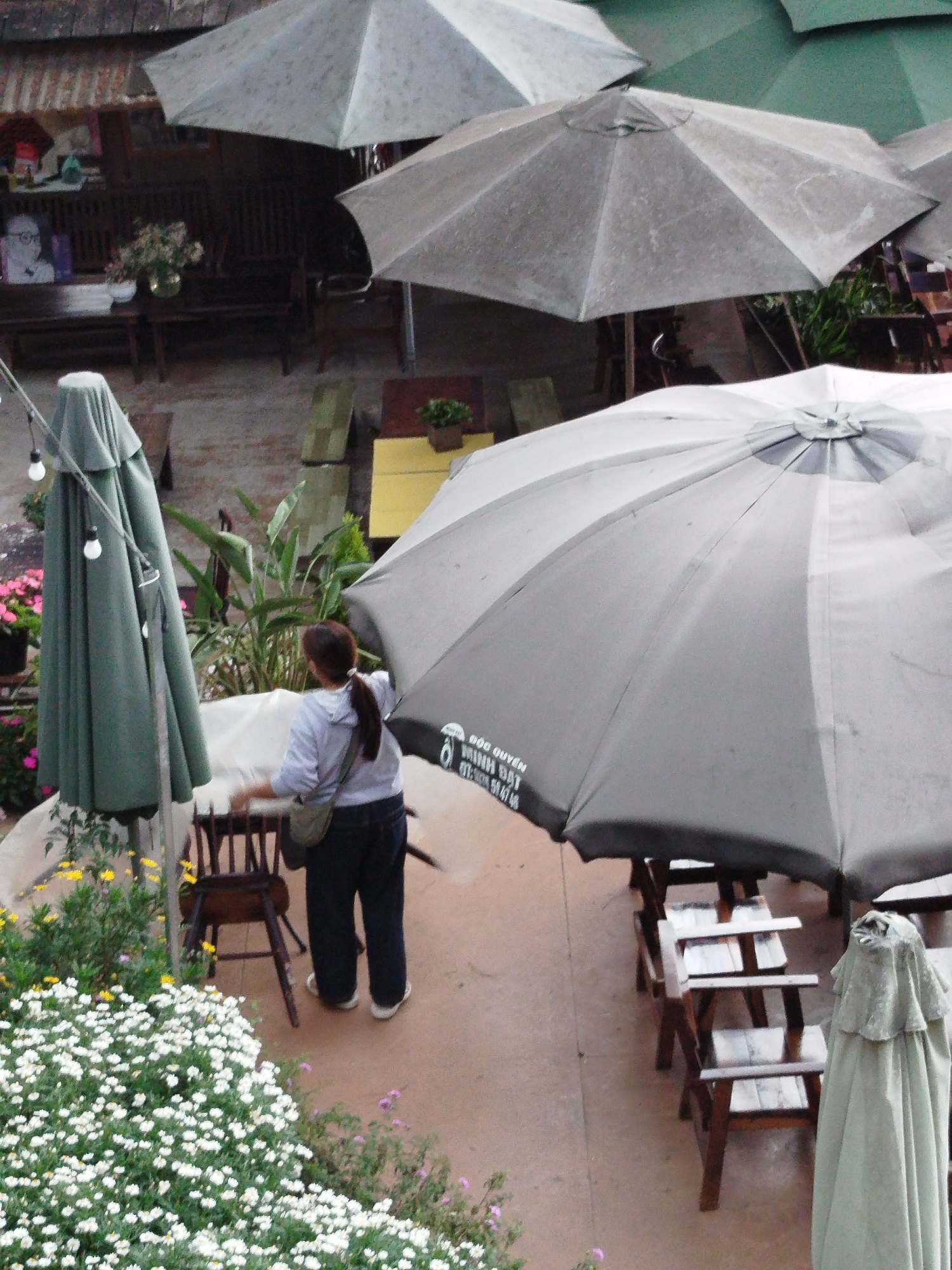 A medium-angle shot captures an outdoor patio setting in Da Lat, Vietnam. Several large, gray patio umbrellas dominate the scene. A woman with a ponytail, wearing a light gray sweatshirt and dark pants, stands near a wooden chair and an open umbrella. There are wooden tables and chairs beneath the umbrellas. One table is painted yellow. Some umbrellas are draped with green covers. A small patch of white flowers grows in the foreground. There is a covered bench in the background.