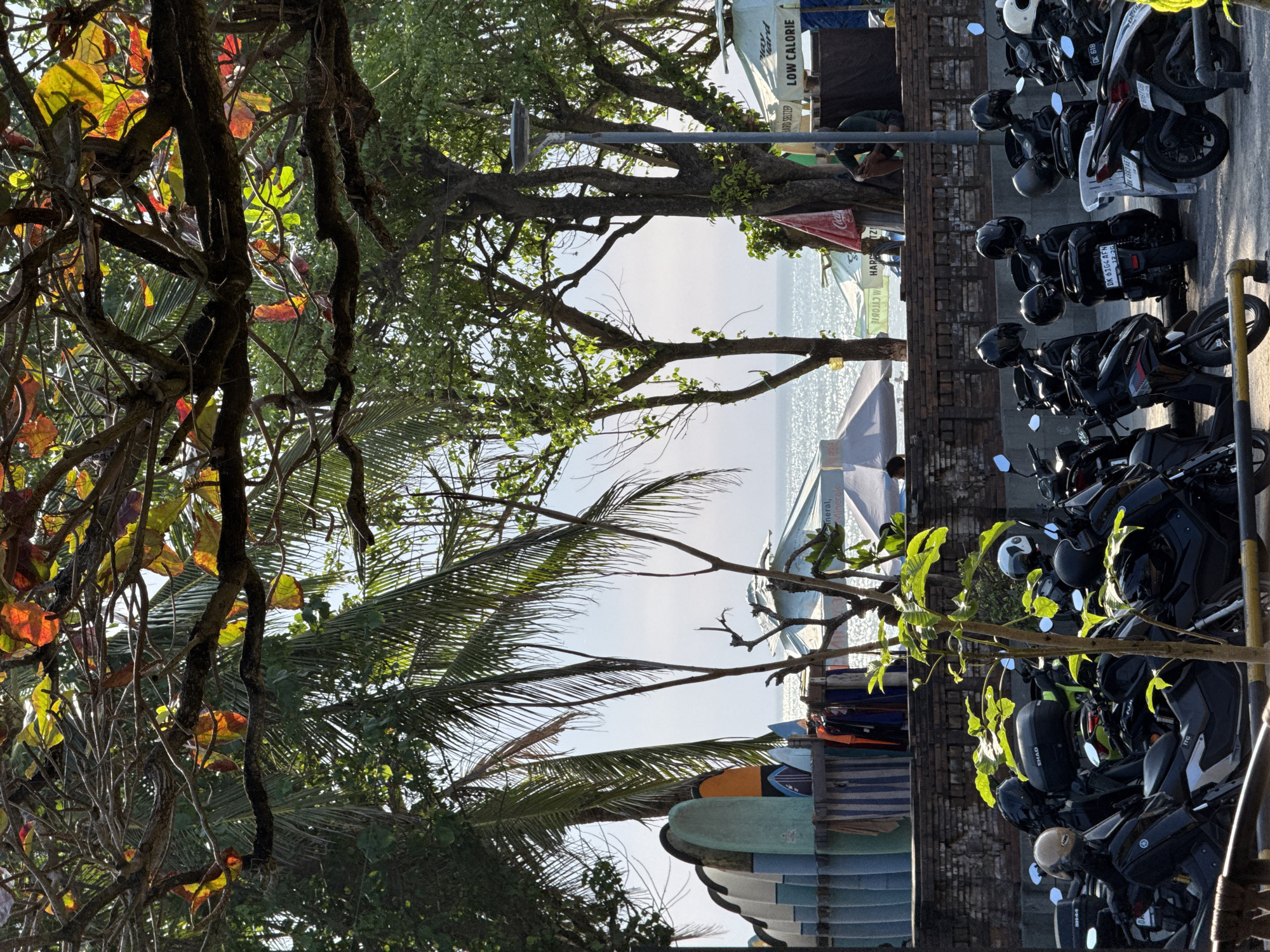 The image depicts a view in Kuta, Indonesia, looking toward the sea through foliage. The foreground and left side are dominated by trees, some with orange and yellow leaves. To the right, motorcycles are parked, and a low brick wall separates them from surfboards and parasols, some displaying text such as "HARD SELTZER" and "LOW CALORIE." A glimpse of the ocean is visible in the distance.