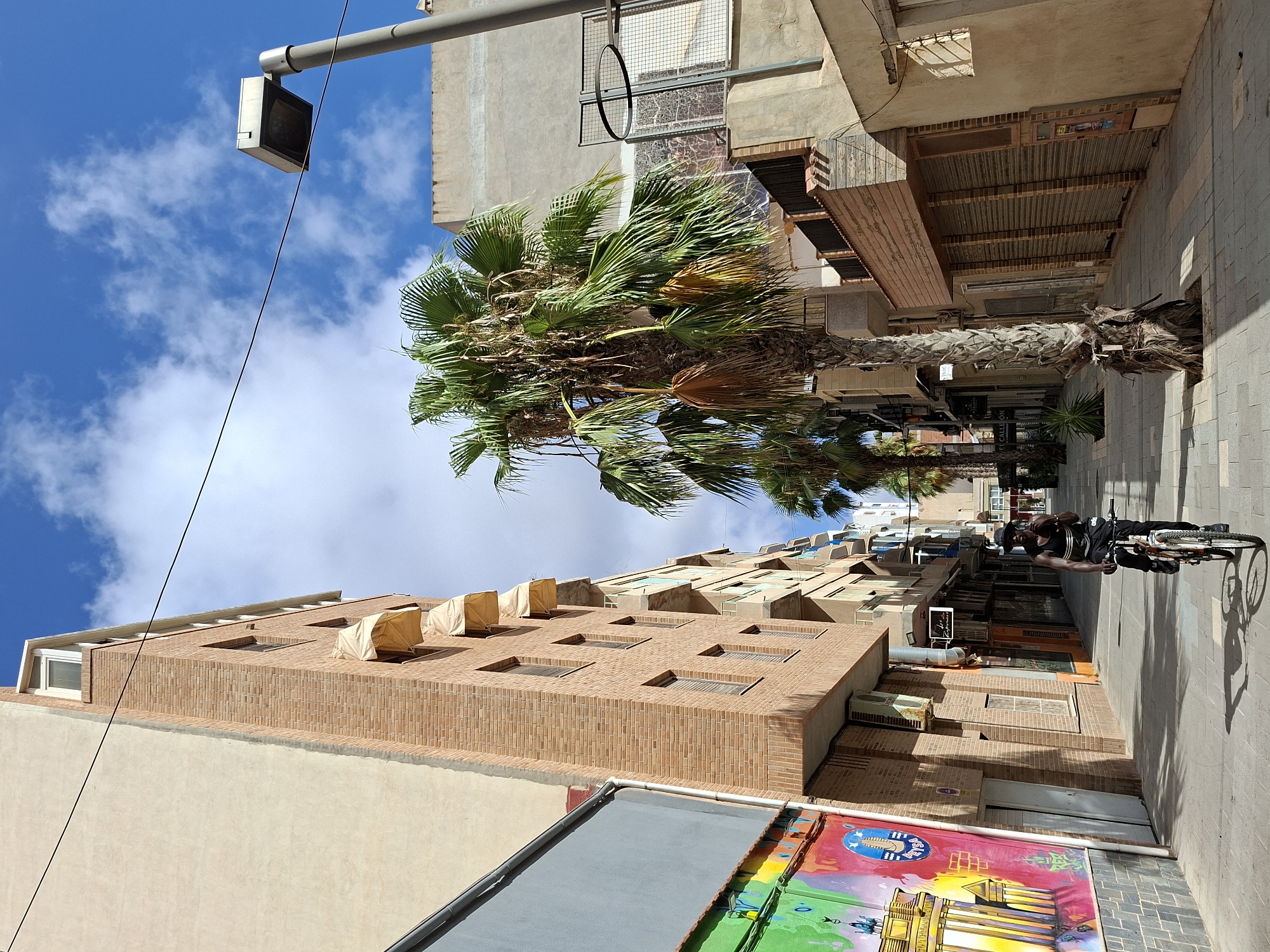 This is a street-level, outdoor, daytime photograph taken in Torrevieja, Spain, looking down a narrow street lined with buildings. The sky is blue with scattered white clouds. On the left side of the street is a tall, multi-story building with a brick facade and several awnings extended over windows. Below this building, a wall features colorful graffiti depicting architectural elements. On the right side of the street are more buildings with muted colored facades, some featuring roll-down shutters.
A person wearing a black hat and a dark tank top with a pattern is riding a bicycle down the center of the street. The cyclist is facing the camera and appears to be holding something in their right hand. In the foreground, a large palm tree with a textured trunk and green fronds stands to the right of the street. Another, smaller palm tree is visible further down the street on the left. The street is paved with interlocking gray tiles. A lamppost is visible on the right side of the image, near the top. The overall scene depicts a sunlit urban environment with a mix of residential or commercial buildings and vegetation.