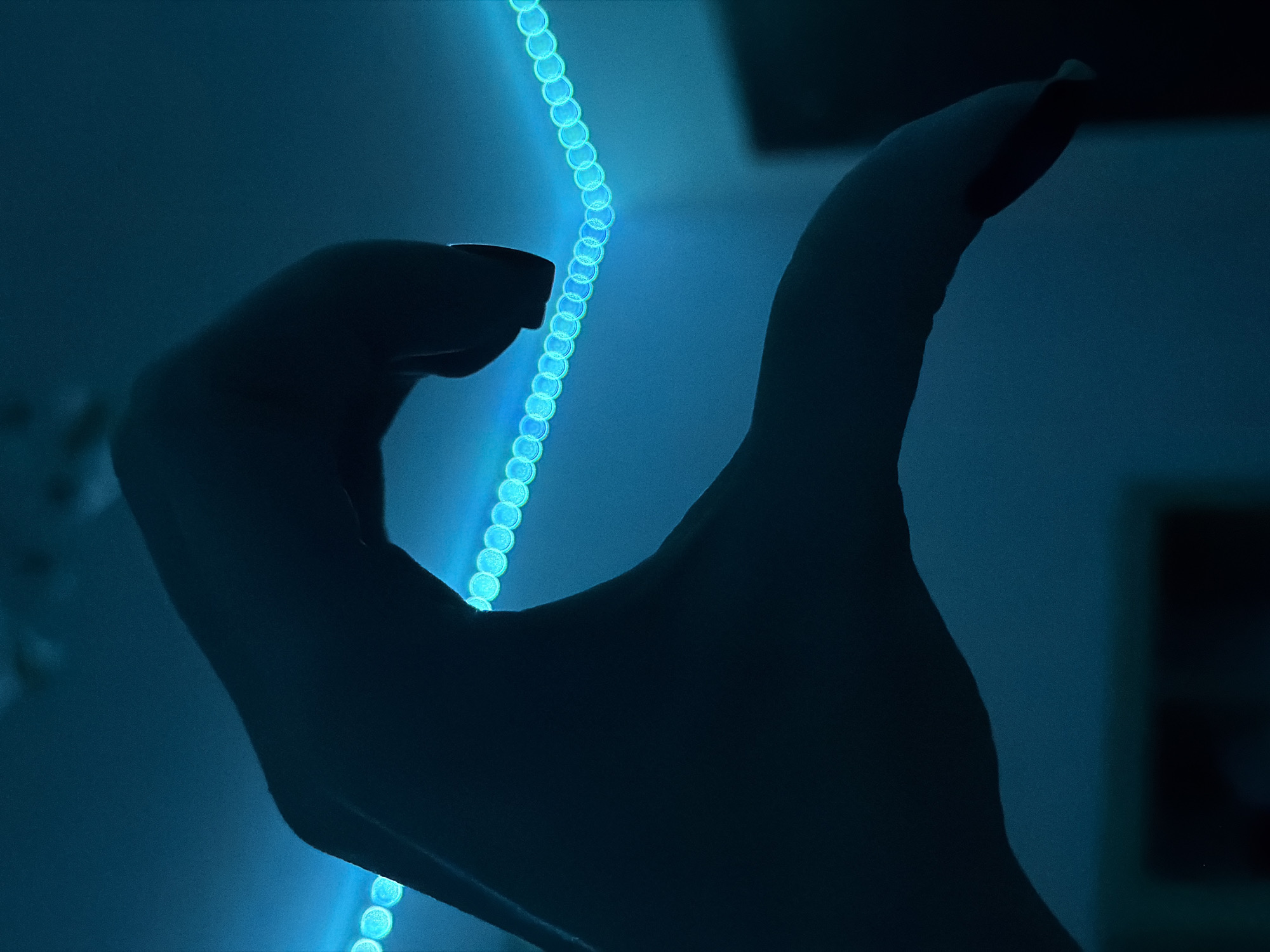 A close-up, silhouetted image shows a hand forming the left half of a heart shape against a dark blue background. The hand is dark, with fingernails visible at the top. Behind the hand, a string of circular, blue LED lights forms a curved line, illuminating the scene from the top left. The background is a deep, dark blue, with a hint of a shadow or object on the right side. The overall ambiance is moody and intimate, created by the low lighting and the gesture of the hand. The specific location in Cheltuitori, Moldova is not determinable from the visual information provided in the image.