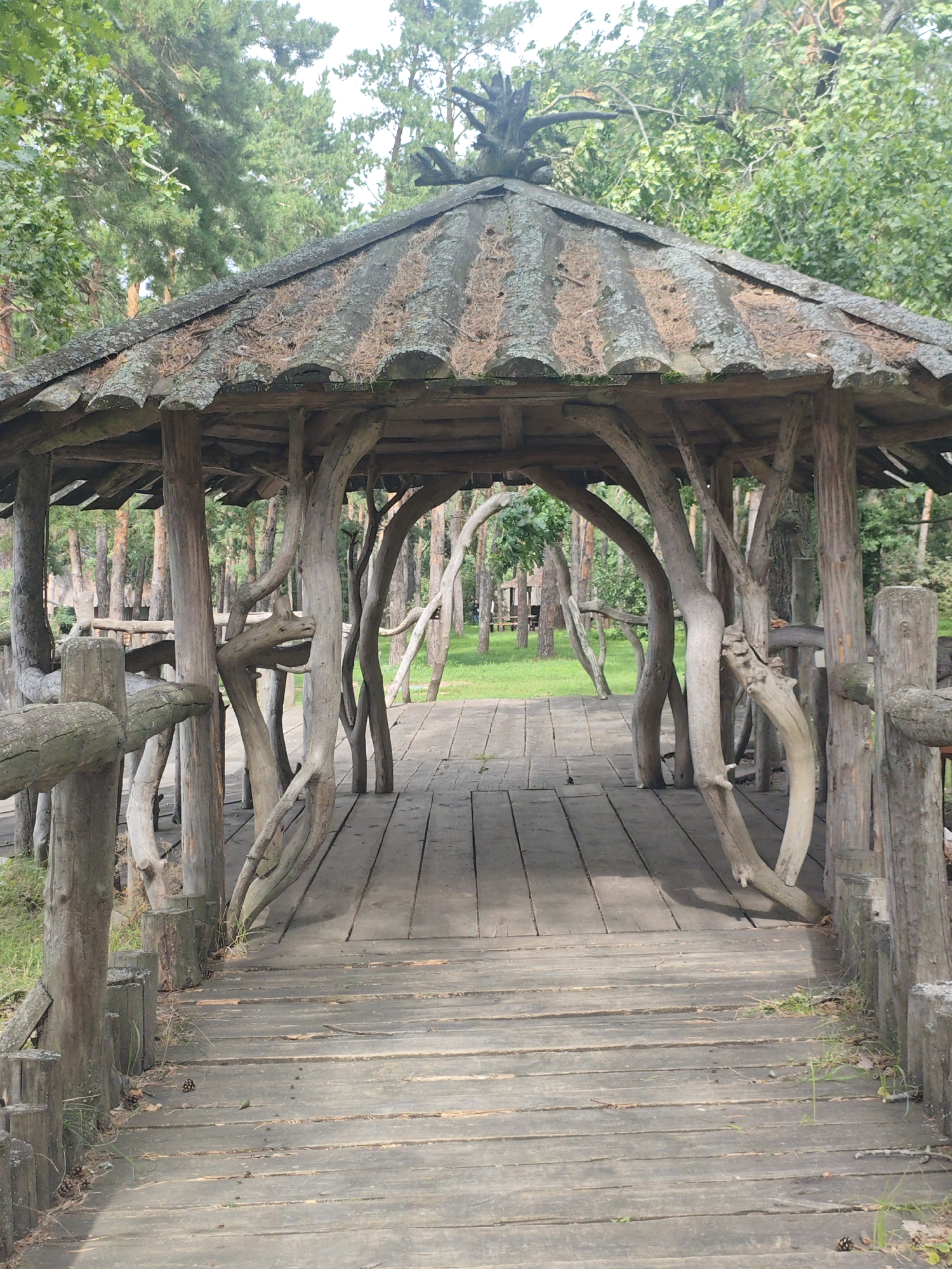 The image shows an outdoor wooden gazebo with a rustic, organic design, situated in a wooded area. The gazebo has a weathered, multi-tiered roof covered in what appears to be moss and debris, suggesting it is aged. Its support structure is made of natural, gnarled wooden branches and logs, creating an unusual, almost artistic aesthetic. The floor of the gazebo is a wooden boardwalk. A wooden fence borders the walkway leading into the gazebo. The surrounding environment is a forest with tall trees, green grass, and fallen pinecones scattered on the ground. The lighting suggests it is daytime, with an overcast sky, contributing to the diffused and natural illumination of the scene. The location is identified as Архангельское, Russia.