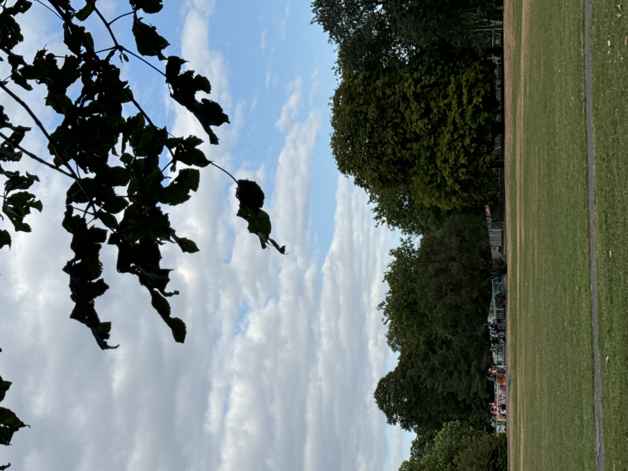 The image depicts a park scene with lush green grass in the foreground. In the middle ground, a group of people are gathered around what appears to be a low, decorated wall, possibly a skate park or art installation. Trees form a dense backdrop behind them. Overhead, dark silhouettes of tree leaves are visible against a partly cloudy blue sky.
While the image does not explicitly provide information about the specific location within the city of Waterford, Ireland, the presence of a park with trees and a gathering of people suggests a public recreational area. The low, decorated wall could be a feature of a modern urban park, potentially a skate park or a place for street art. The style of the trees and the general ambiance are consistent with many parks found in urban settings.
