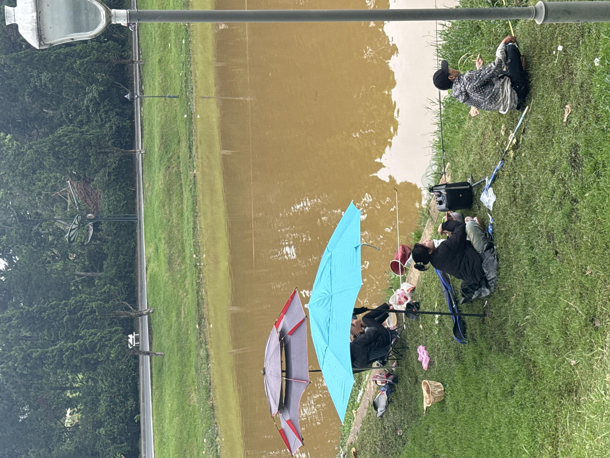 A horizontal shot shows several individuals fishing on a grassy bank. A muddy body of water is visible to their left, reflecting the sky. A concrete structure with a light pole extends overhead.
Three people are seated on the grass under two open umbrellas, one blue and one grey with red trim. A fourth person sits further down the bank. Fishing rods are propped nearby, and various bags, a basket, and other items are scattered around the anglers. The bank is slightly elevated above the water level.
The background includes a road, trees, and another light pole. This is likely in Da Lat, Vietnam, based on the style of the structures and vegetation.