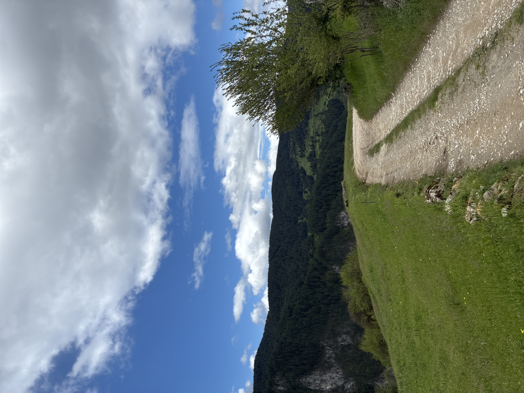 The image shows a landscape, likely a mountain scene. A dirt road with visible gravel runs along a green grassy hillside. To the left of the hillside is a densely forested mountain range. Beyond the mountain, the sky is blue with scattered white clouds. The image is taken on its side and rotated vertically. Based on the prompt, this location is in Giovren, Bulgaria, but that information is not discernible within the image itself.