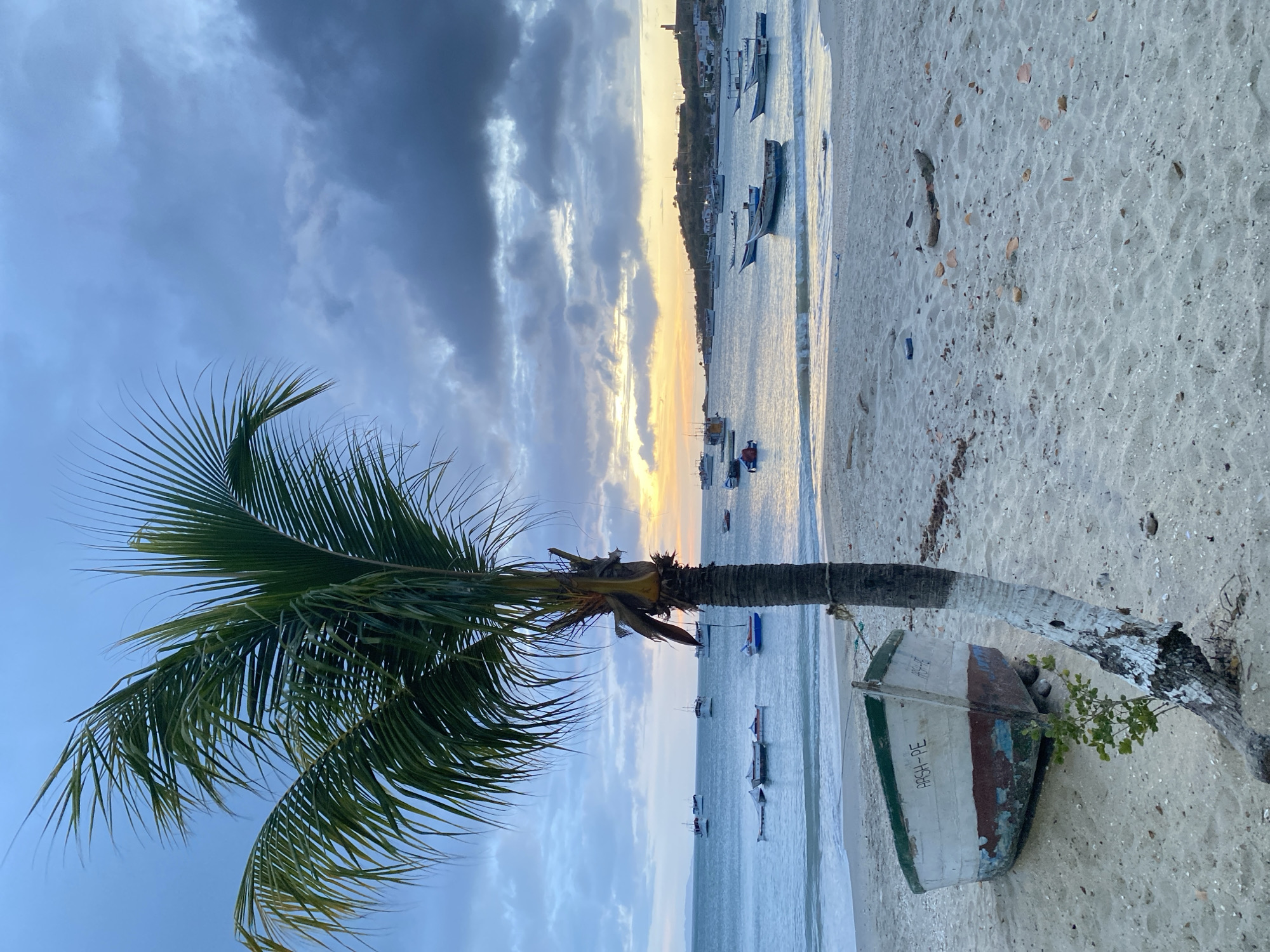A serene coastal scene in Juan Griego, Venezuela, features a palm tree leaning over a sandy beach. An overturned, weathered boat rests near the base of the palm tree, its paint faded with remnants of green, red, and white. The boat's hull bears the inscription "ARRA - PE." The sky, a mix of blue and cloudy hues, suggests either dawn or dusk. Numerous boats are anchored in the calm water, with a distant coastline visible. The sand is light in color, with scattered debris and foliage.