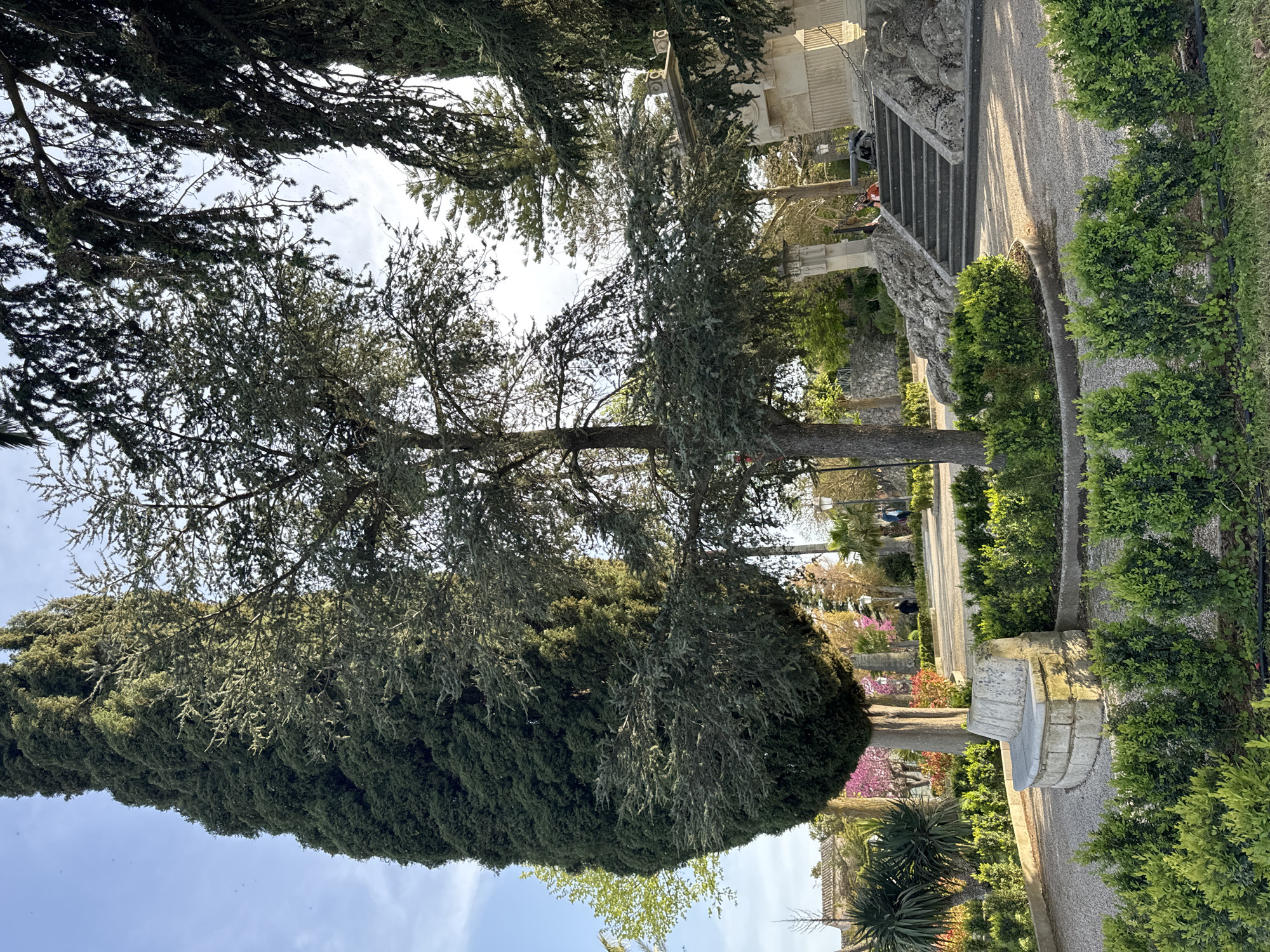 A vertical, eye-level outdoor shot shows a landscaped garden in Ragusa, Italy. A tall, dark green cypress tree on the left contrasts with a larger tree with lighter green foliage in the center. To the right, a stone staircase with a balustrade leads upwards, flanked by manicured hedges and a gravel path. Further in the background, other trees and flowering plants are visible, adding depth to the scene. The sky is partially visible through the trees, showing hints of blue and white. Two people are seen standing near the top of the staircase.