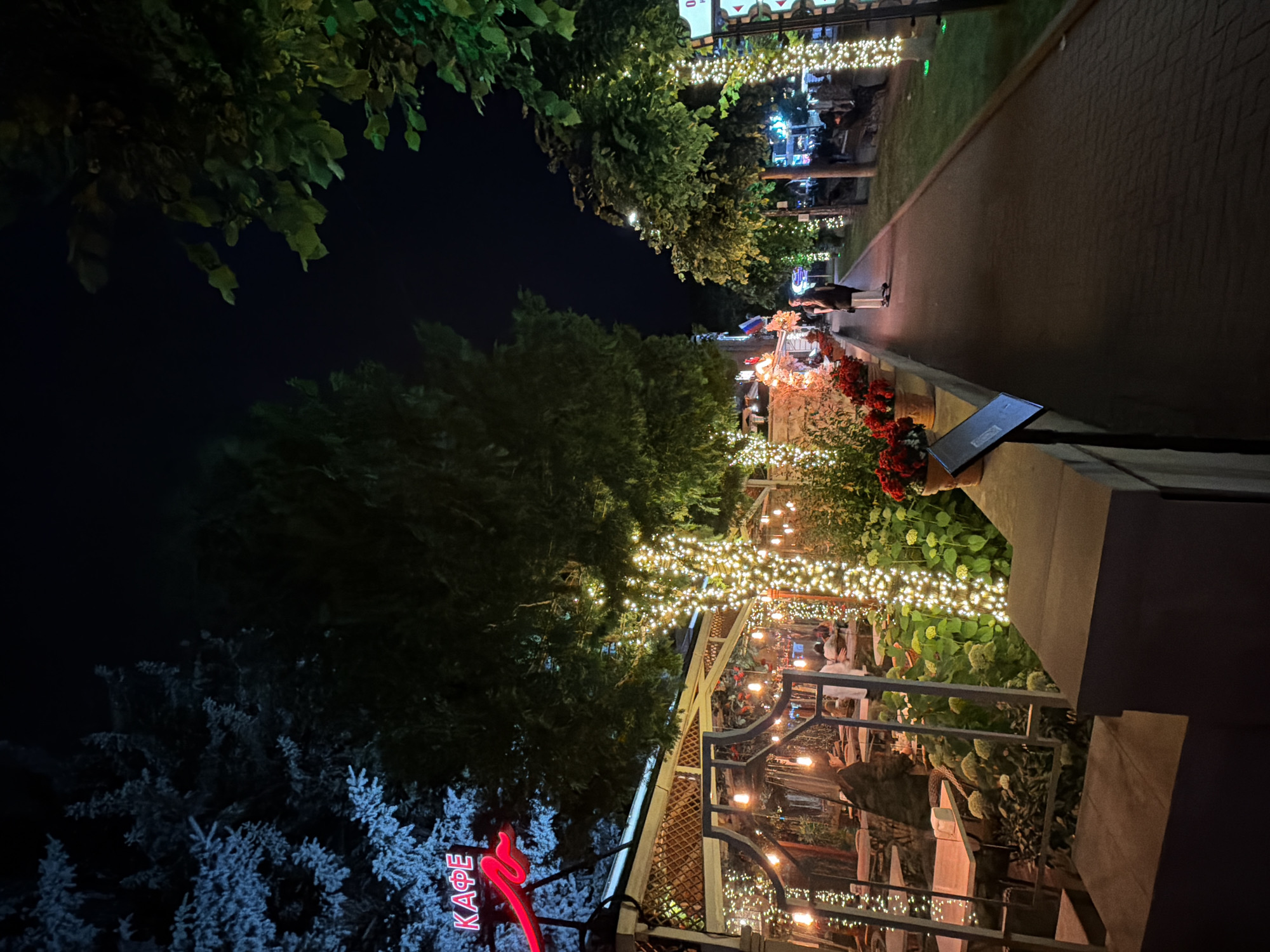 The image depicts an evening scene along a paved walkway in Kislovodsk, Russia. On the left, a cafe with outdoor seating is illuminated by strings of white lights wrapped around trees and an overhead structure. A neon sign, partially visible, reads "КАФЕ" (Cafe). Red flowers in planters line the walkway in front of the cafe. A few patrons are visible seated at tables within the cafe.
The walkway continues to the right, bordered by trees also adorned with white string lights. Several people are walking or sitting on benches along this path. The overall atmosphere is festive and inviting, suggesting a popular public area for evening strolls and dining. The lighting from the cafe and the decorative lights create a warm and cheerful ambiance against the dark night sky.