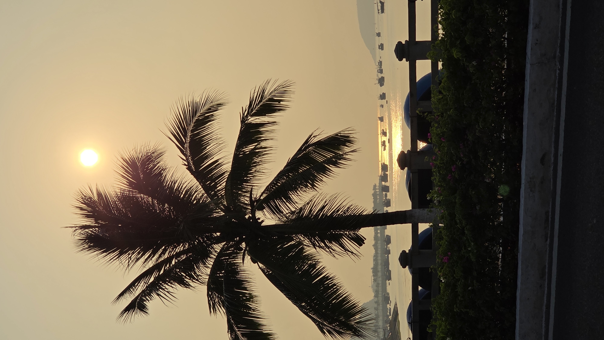 The image shows a silhouetted palm tree against a yellow sky at sunrise or sunset in Bắc Nha Trang, Vietnam. The sun is visible in the upper left corner. Fishing boats are visible in the water, with light reflecting on the surface. A low wall and greenery are in the foreground.